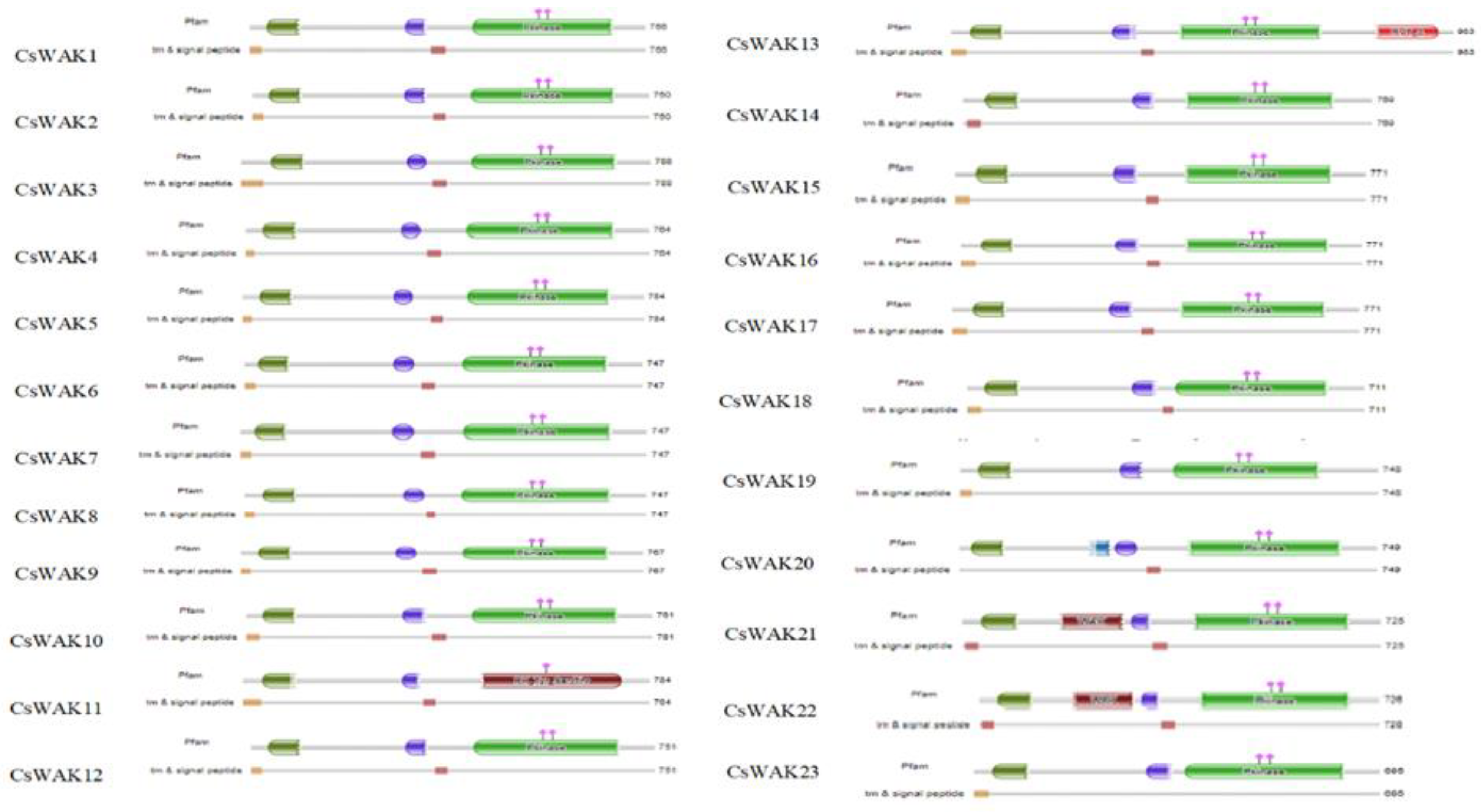 Plants 11 02703 g001a Plants 11 02703 g001a