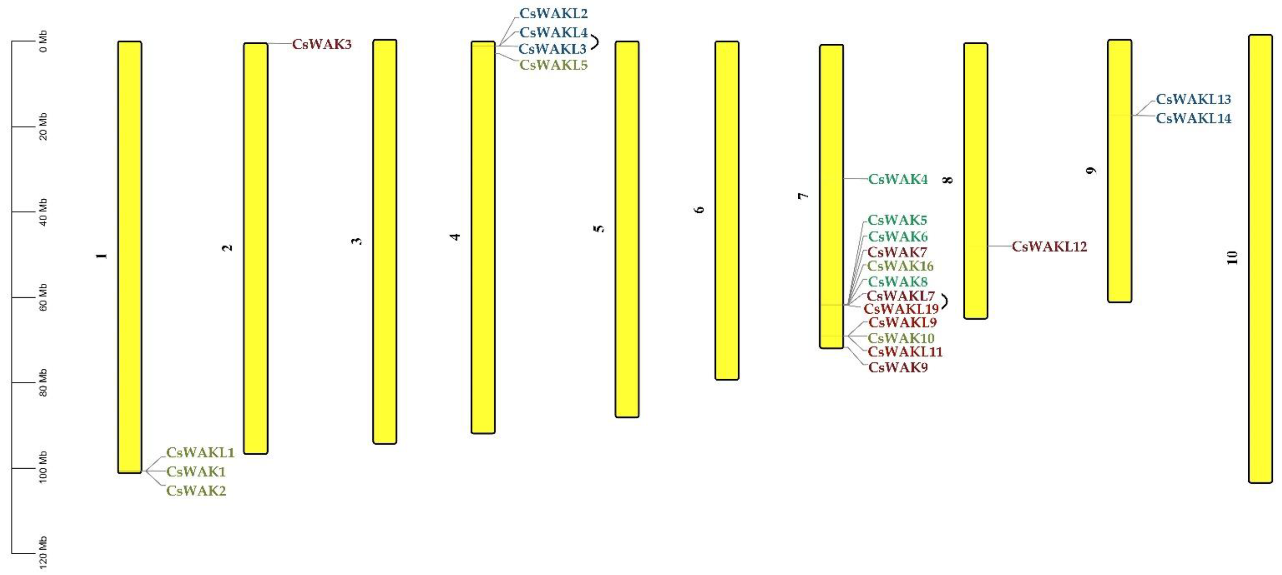 Plants 11 02703 g004 Plants 11 02703 g004