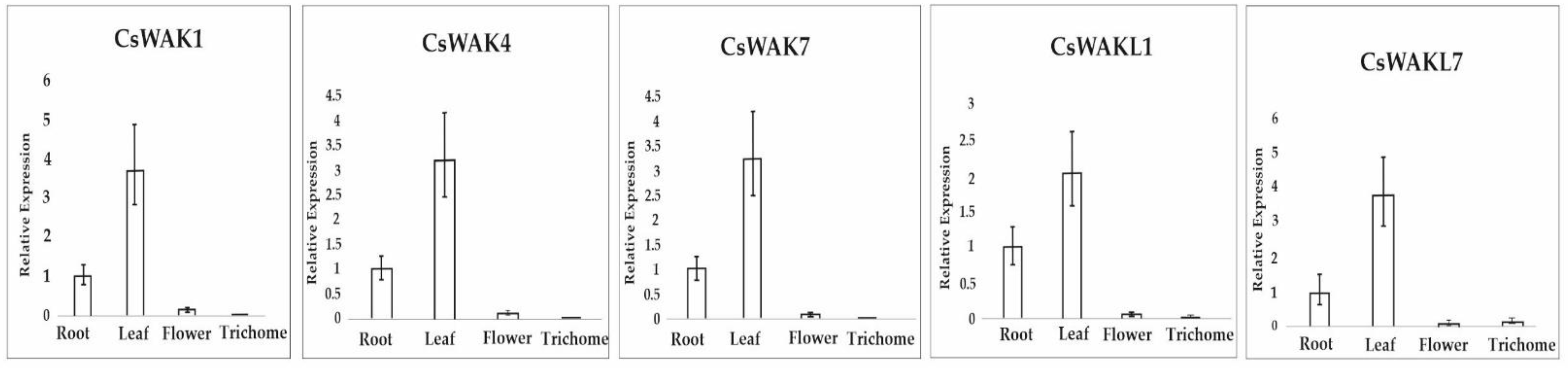 Plants 11 02703 g008 Plants 11 02703 g008