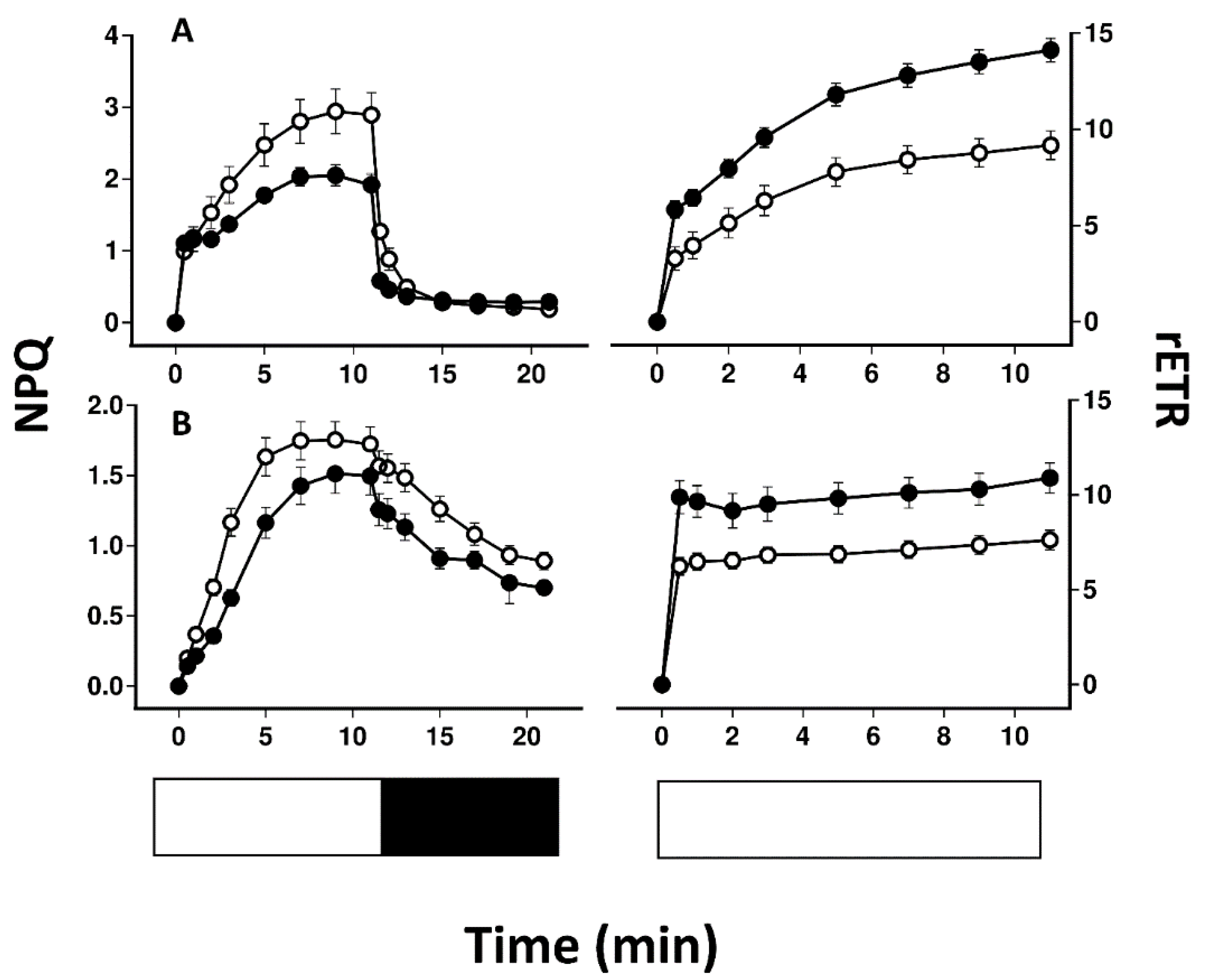 Plants 11 02726 g004 Plants 11 02726 g004