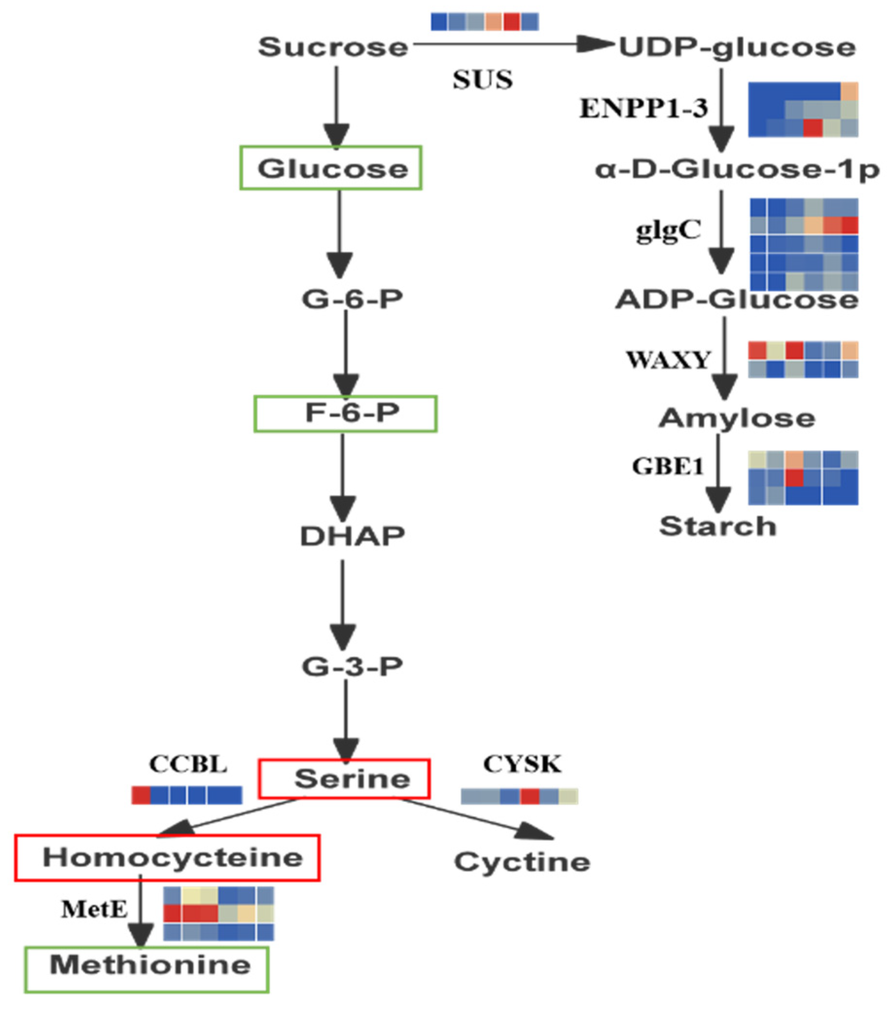 Plants 11 02730 g004