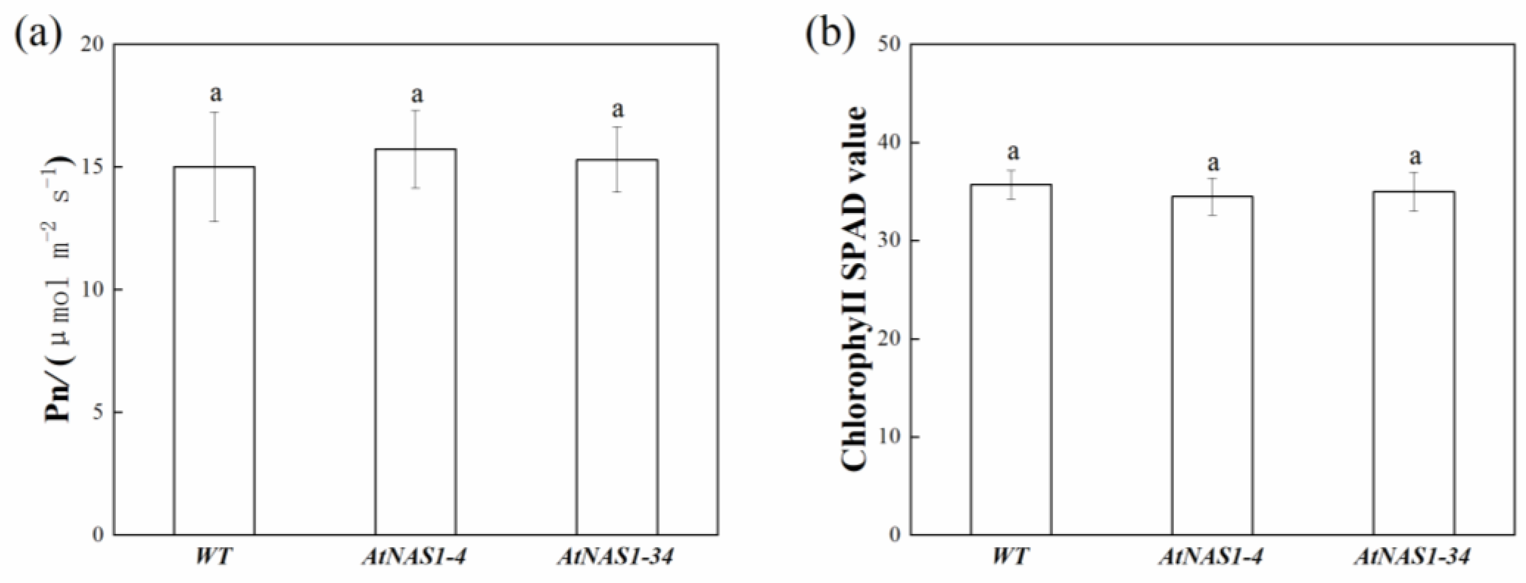 Plants 11 02741 g004
