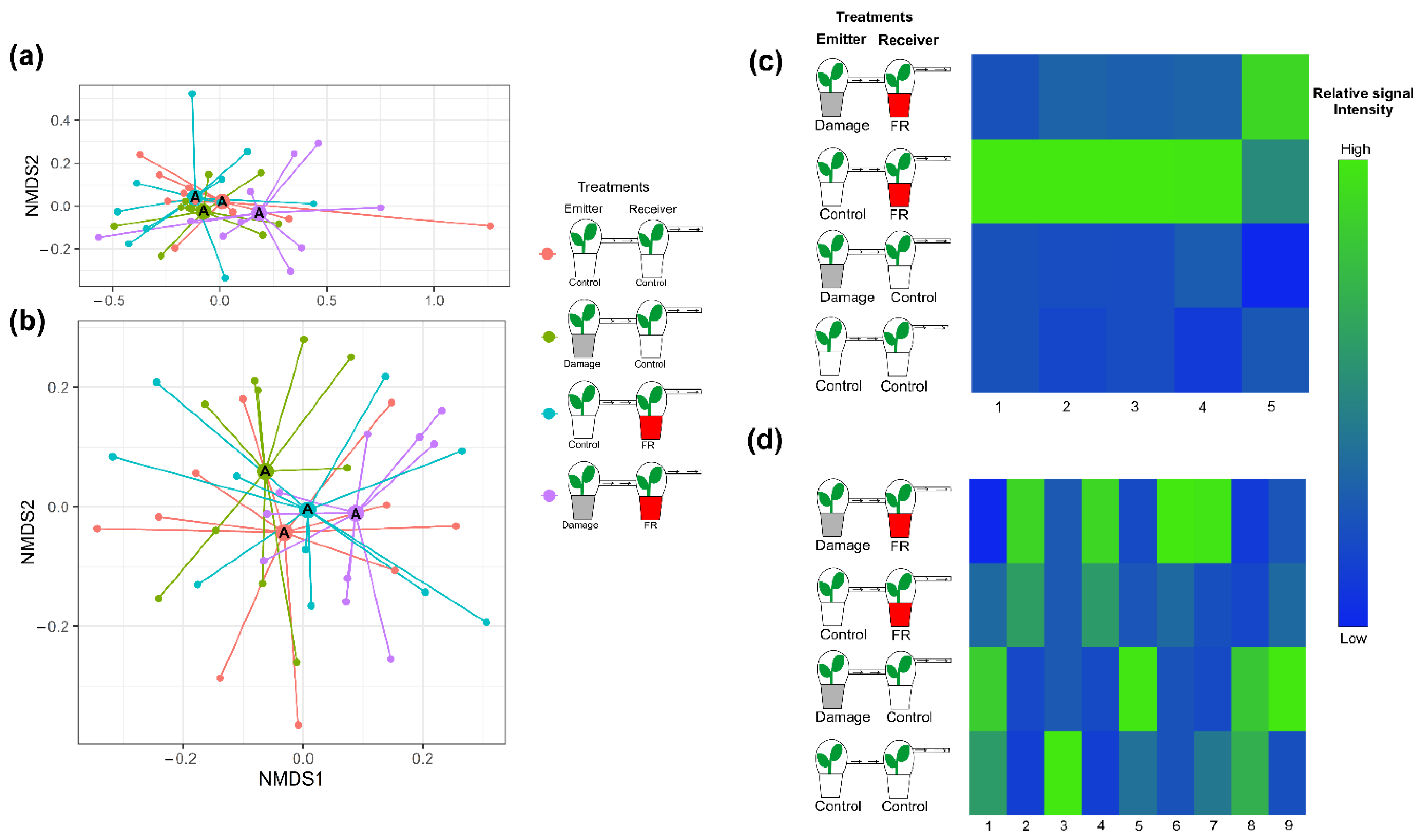 Plants 11 02768 g004 Plants 11 02768 g004