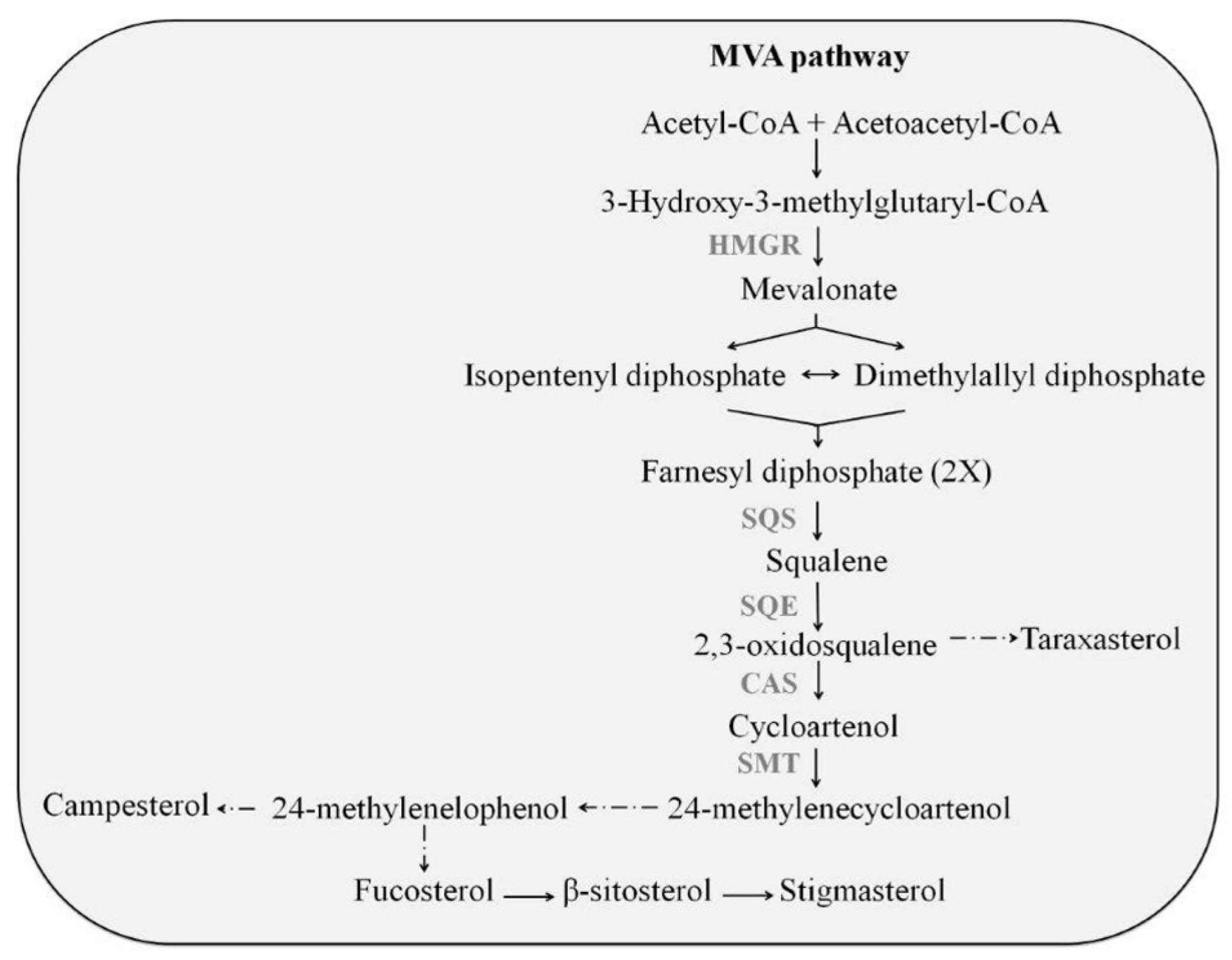 Plants 11 02782 g001 Plants 11 02782 g001