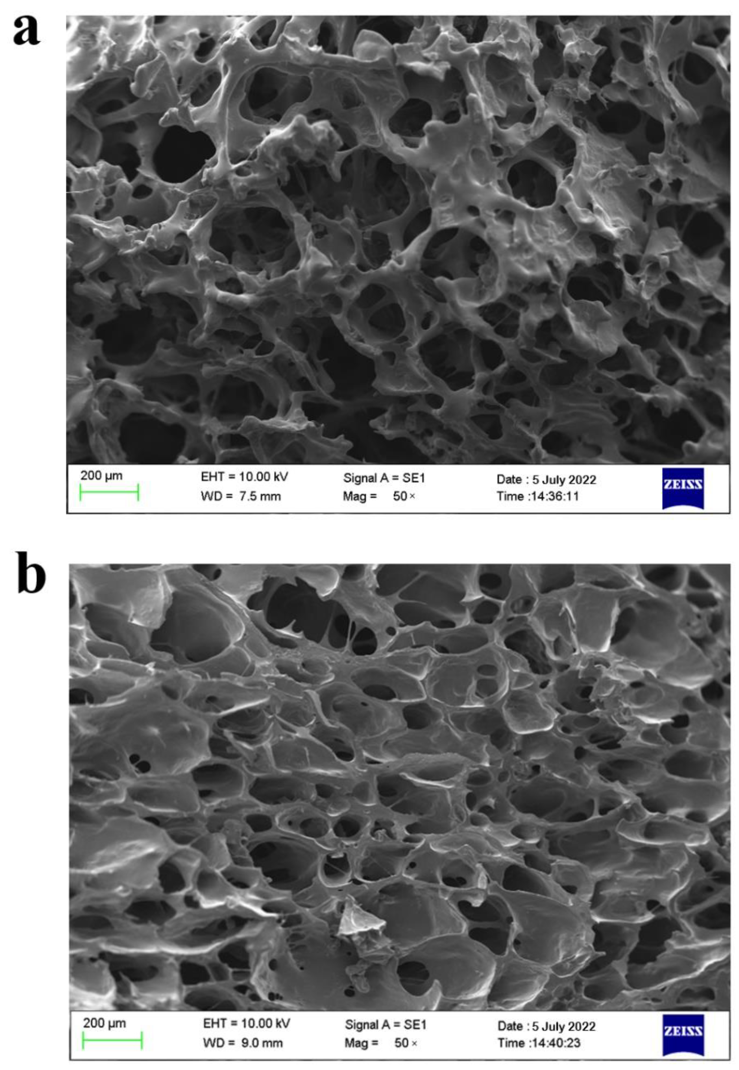 Plants 11 02809 g005 Plants 11 02809 g005