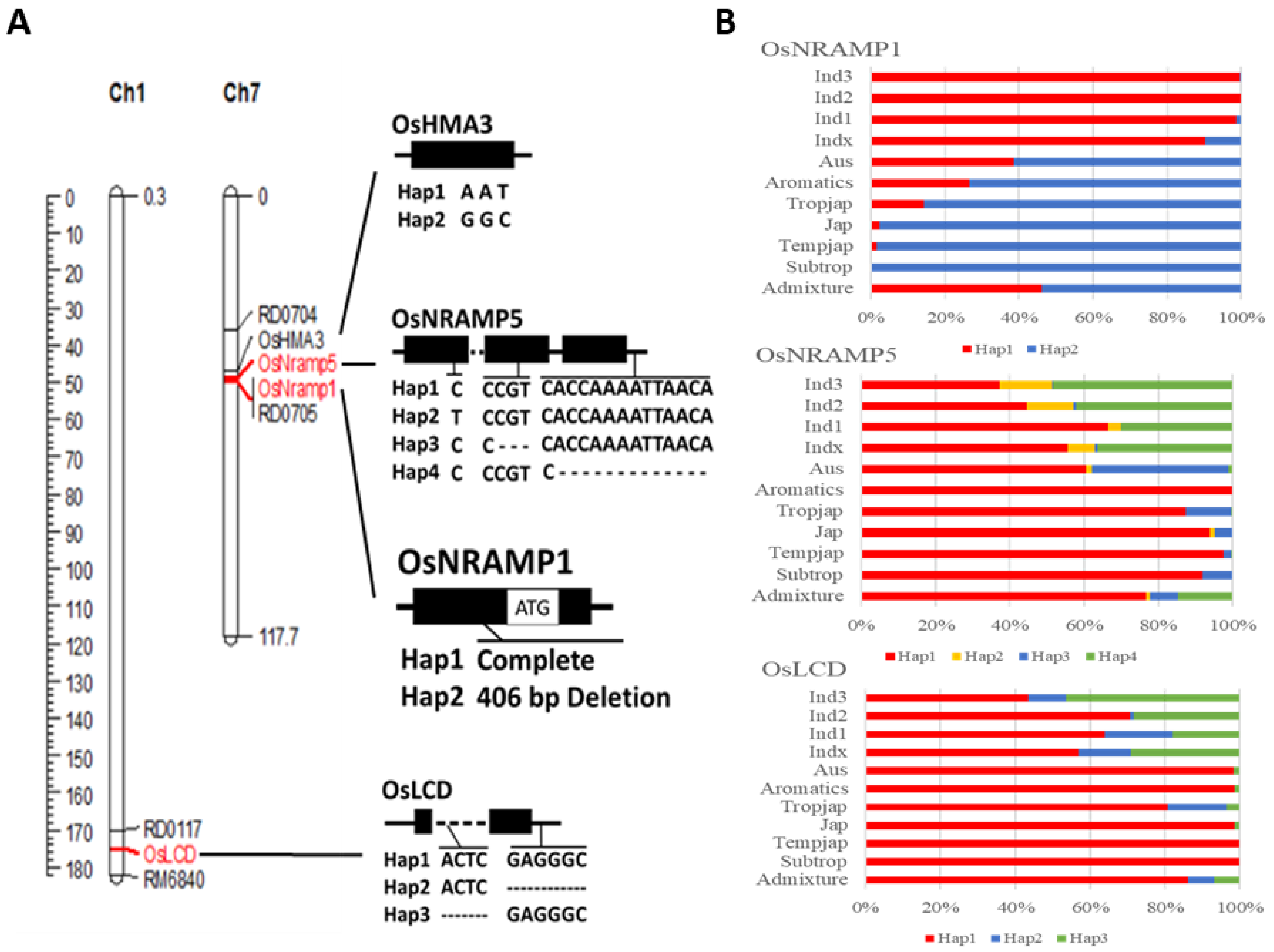 Plants 11 02813 g001