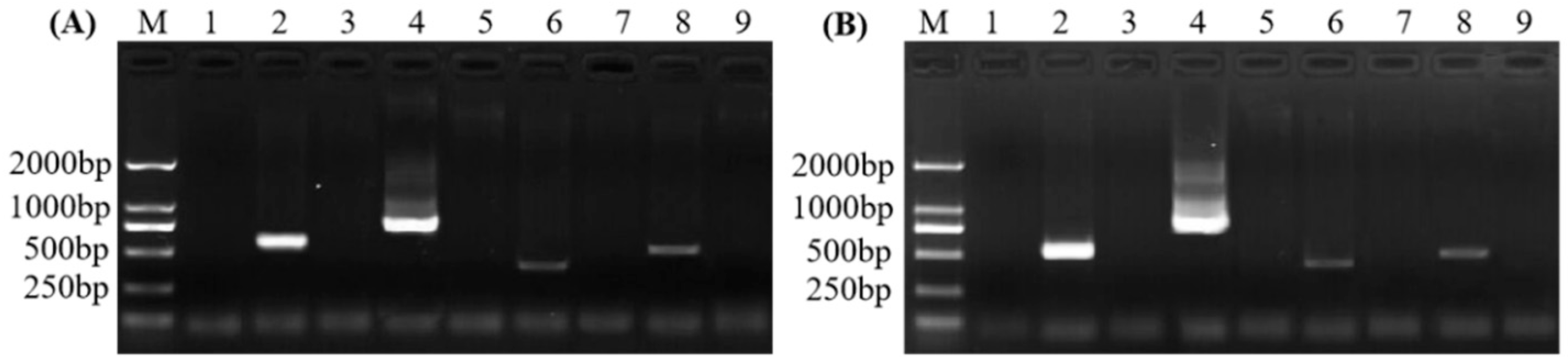 Plants 11 02817 g002 Plants 11 02817 g002