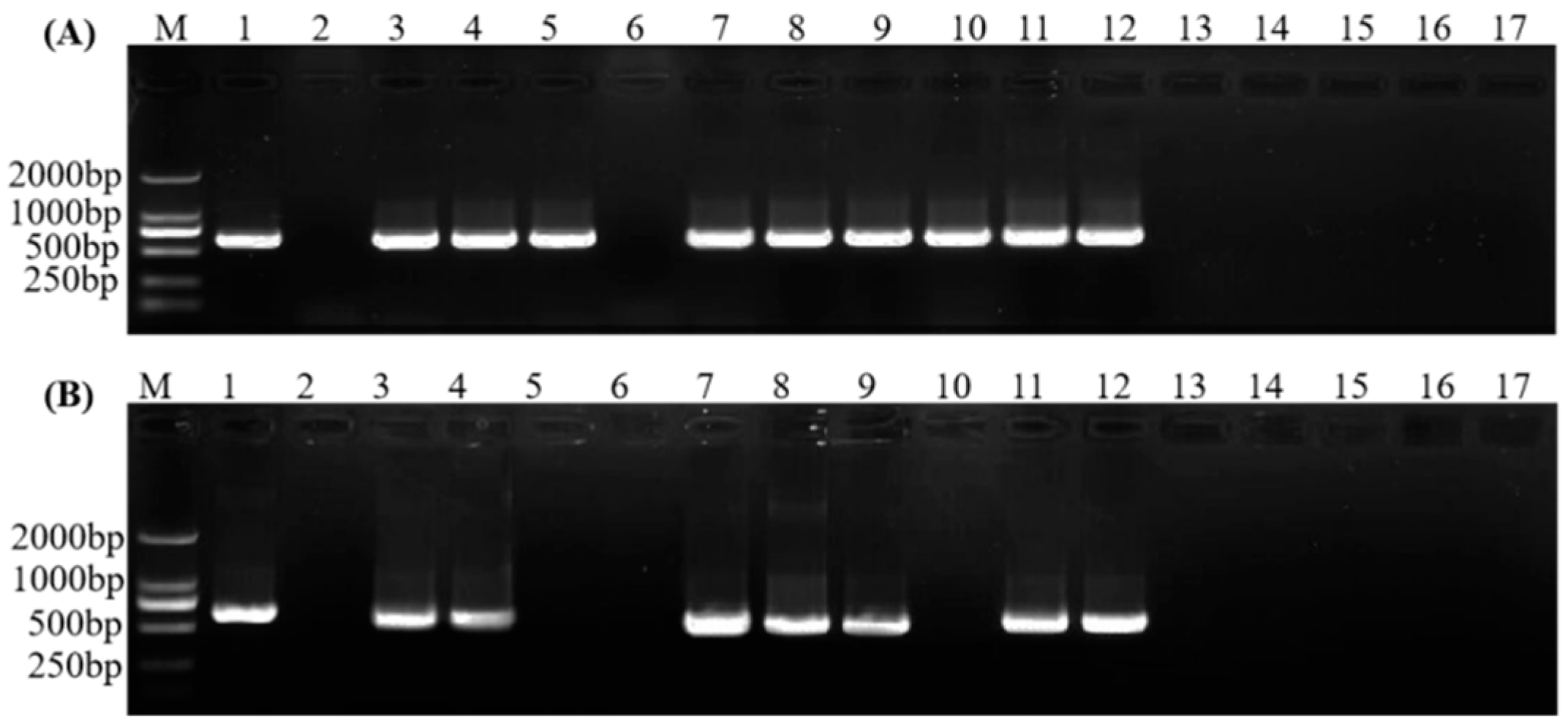 Plants 11 02817 g003 Plants 11 02817 g003