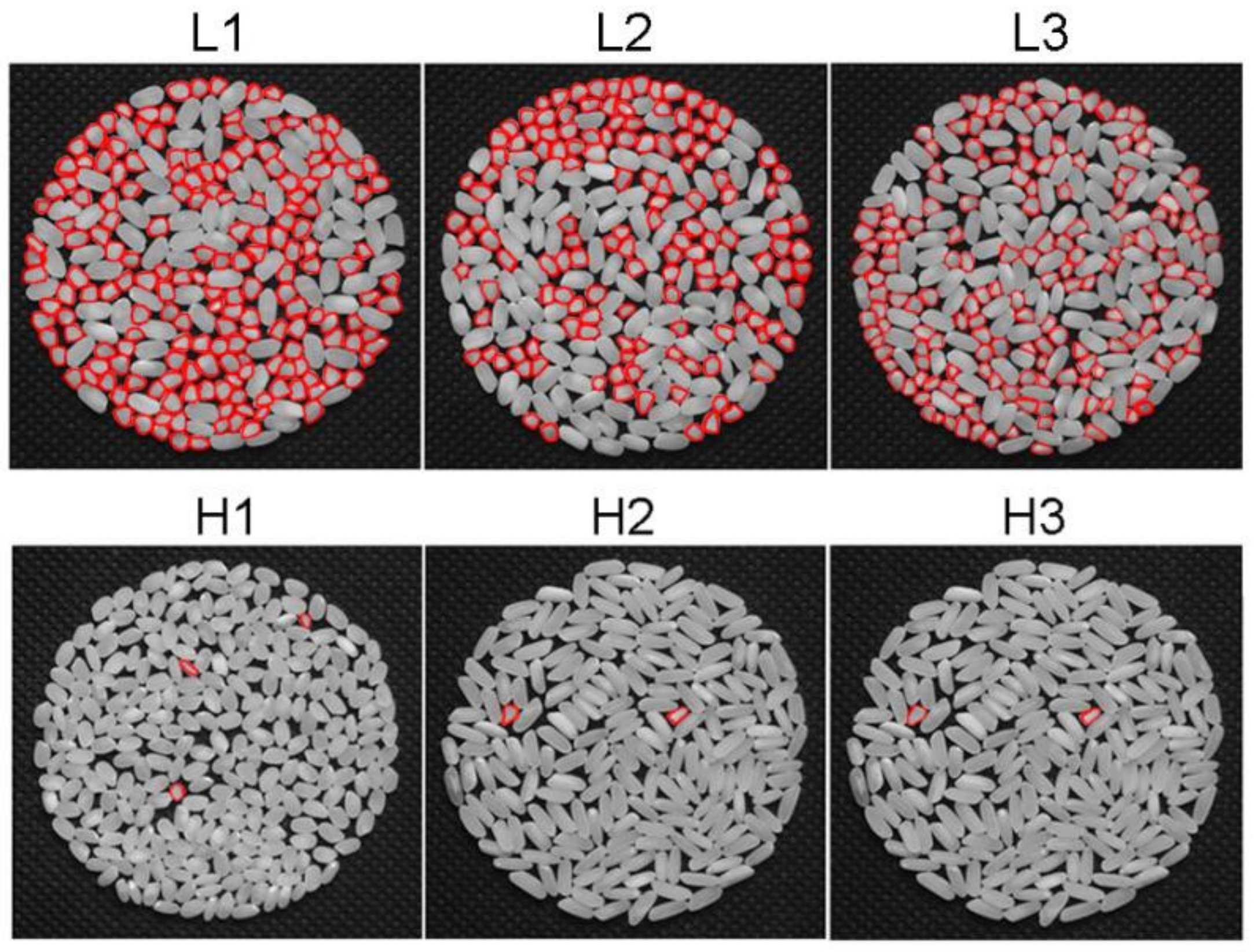 Plants 11 02838 g001