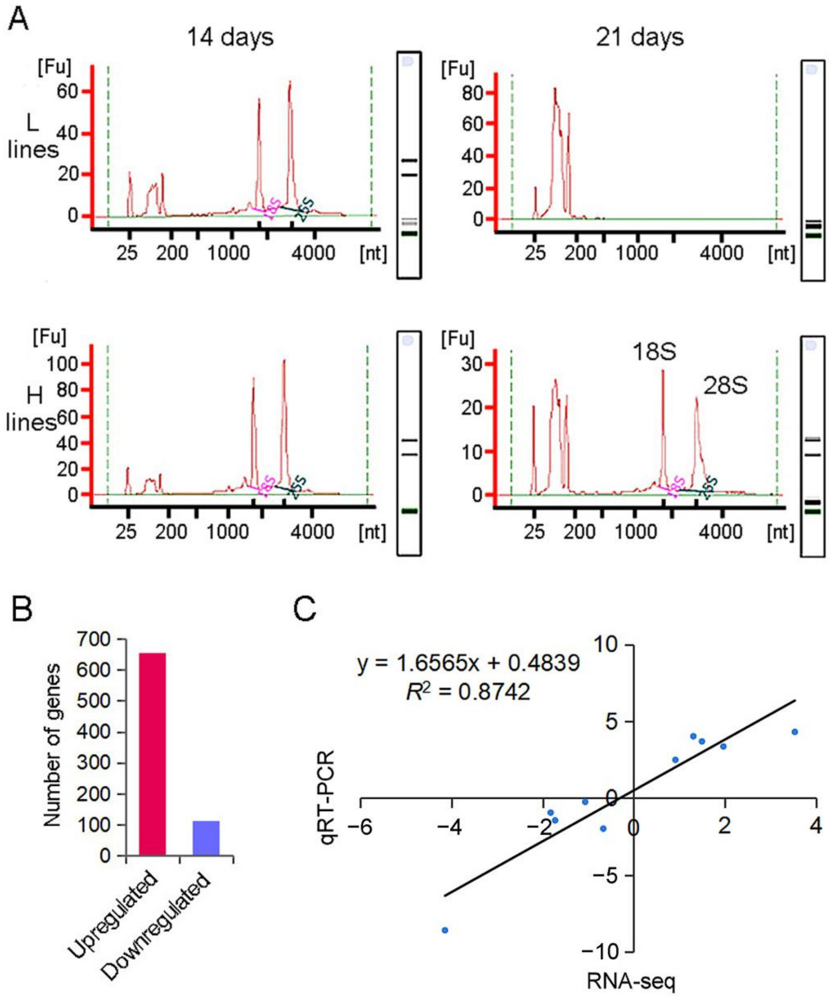 Plants 11 02838 g002