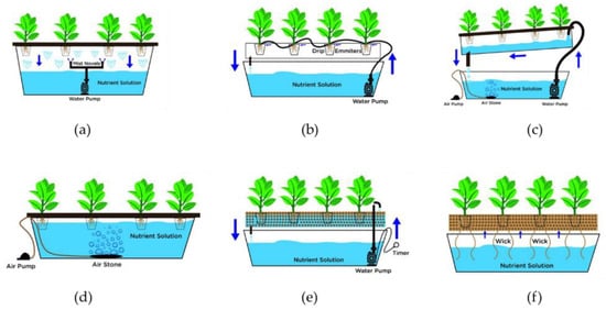 https://www.mdpi.com/plants/plants-11-02843/article_deploy/html/images/plants-11-02843-g001-550.jpg