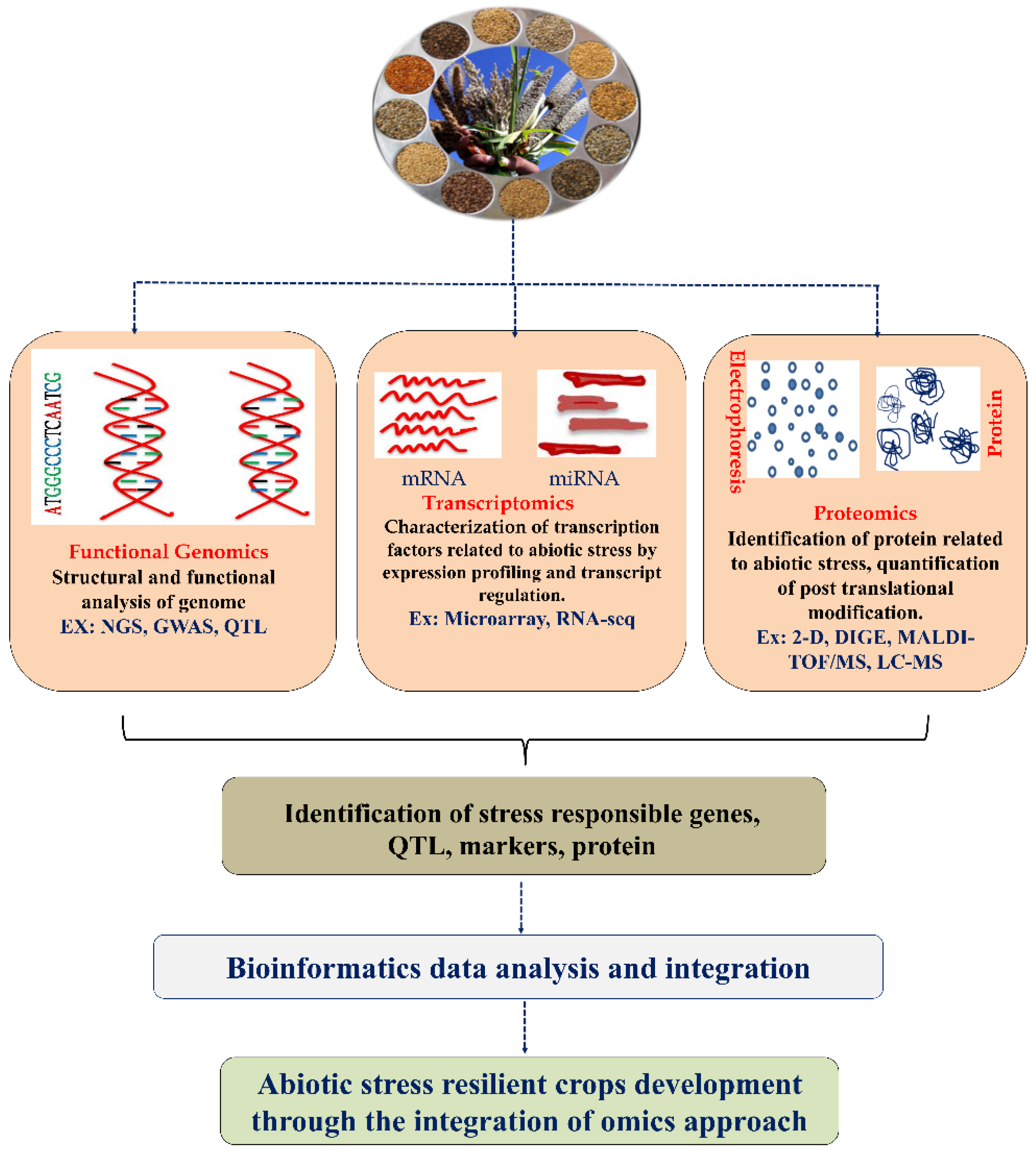 Plants 11 02852 g001 Plants 11 02852 g001