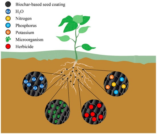 Plants | Free Full-Text | Biochar Coating Is a Sustainable and ...