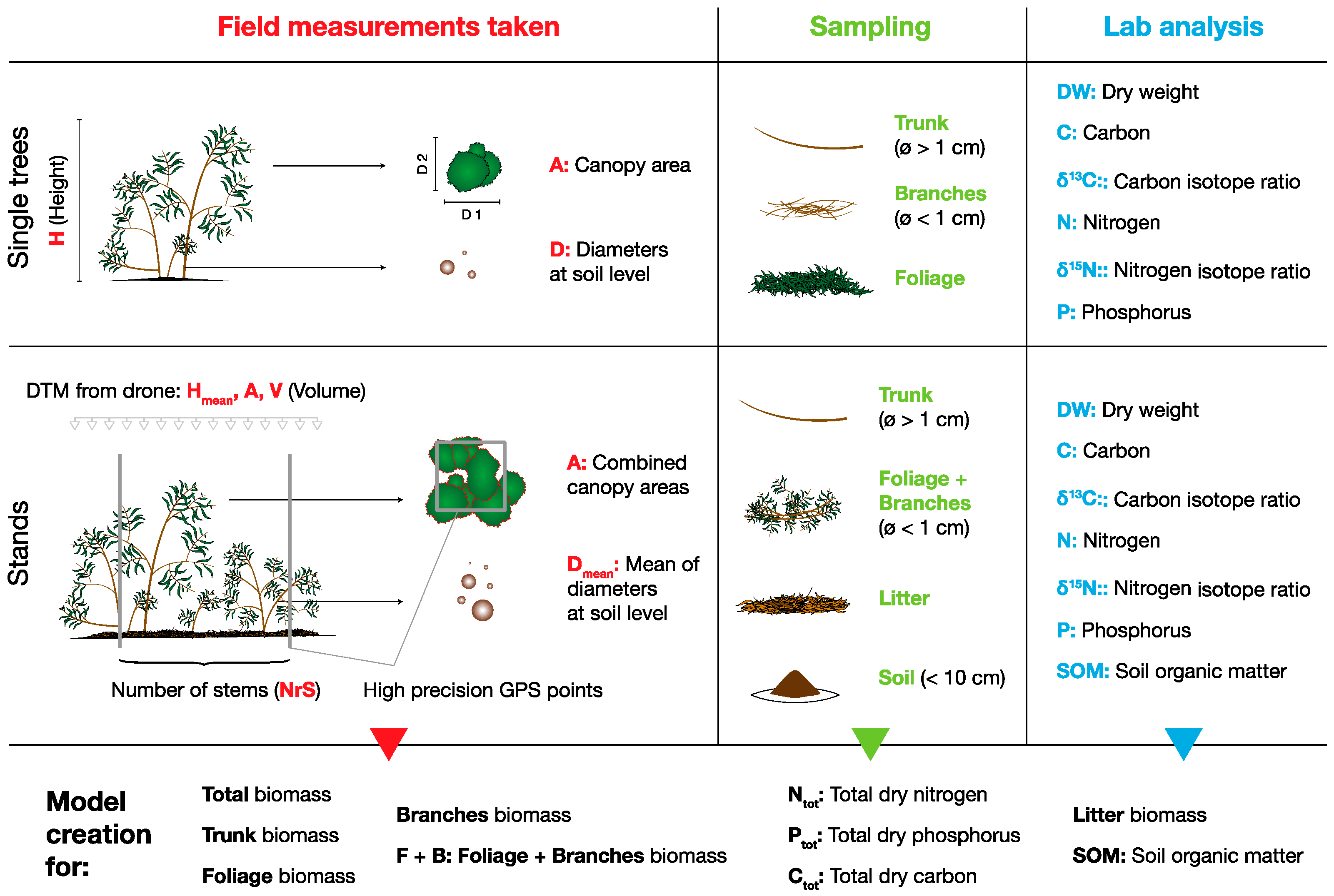 Plants 11 02865 g004