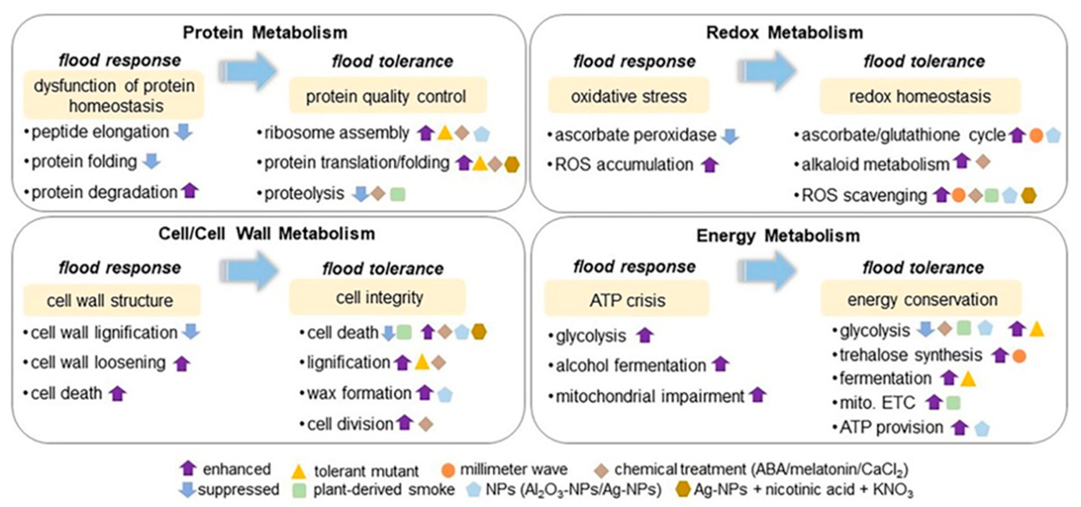 Plants 11 02877 g002 Plants 11 02877 g002