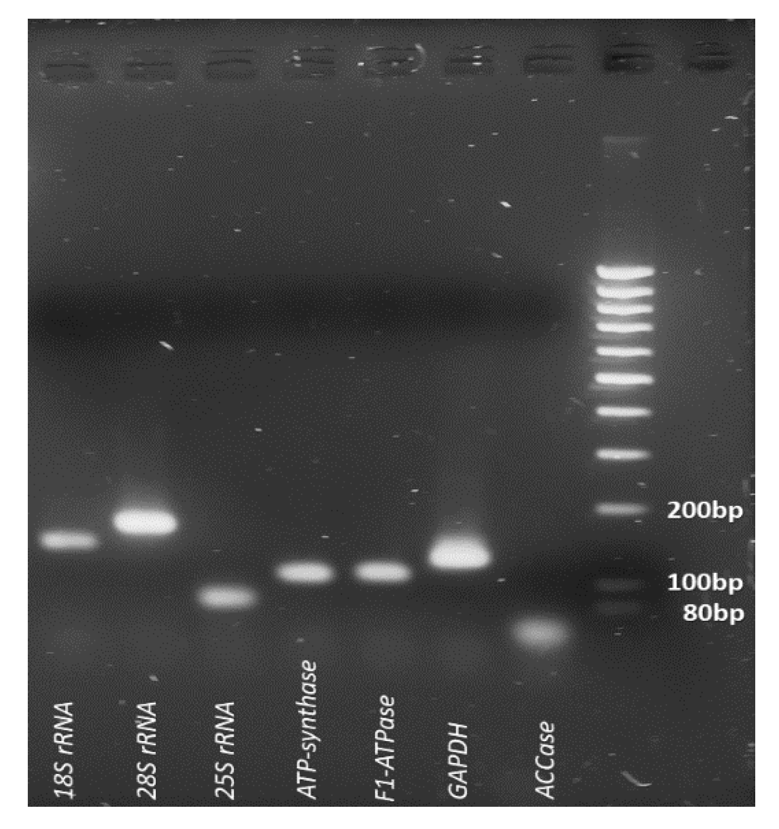 Plants 11 02878 g002