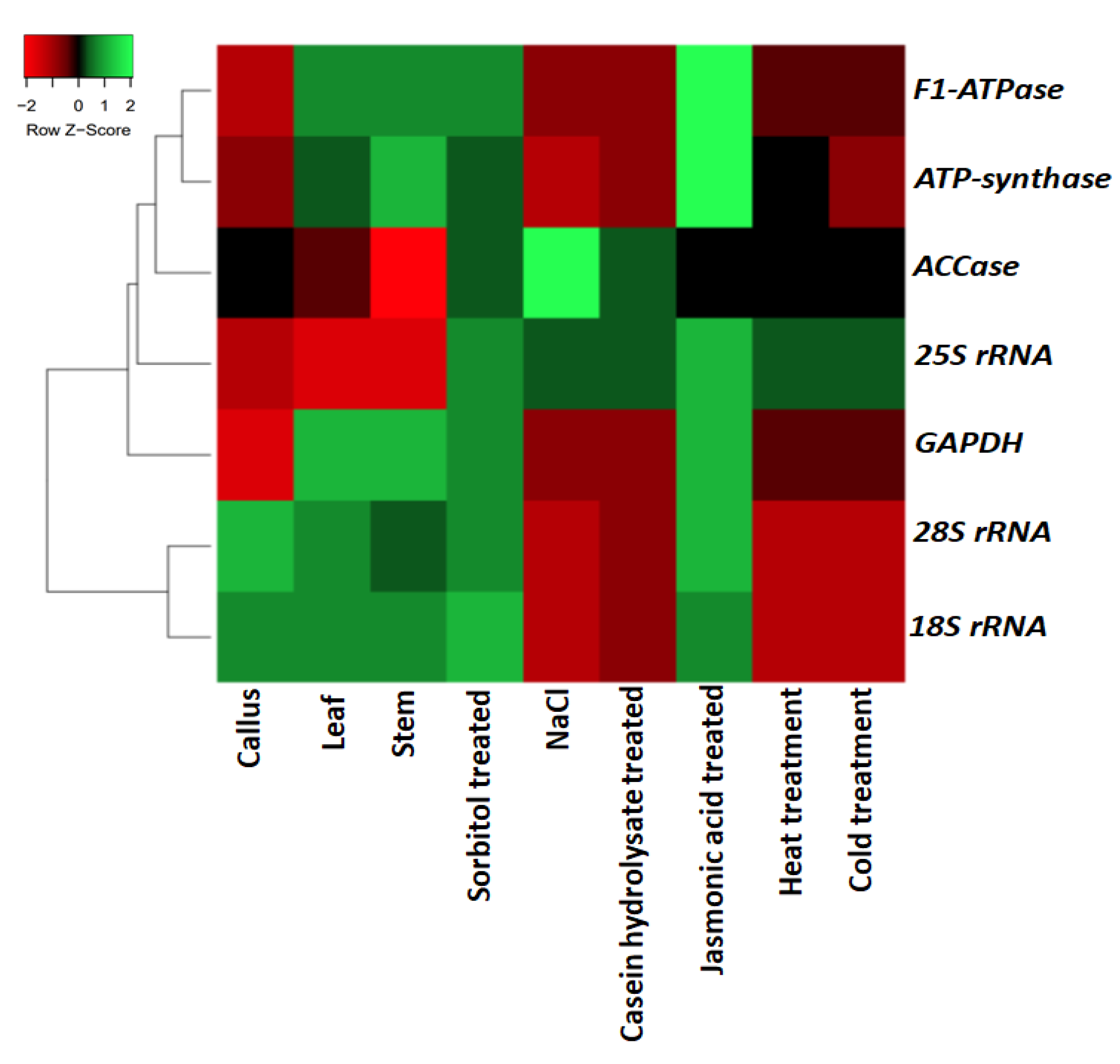 Plants 11 02878 g004