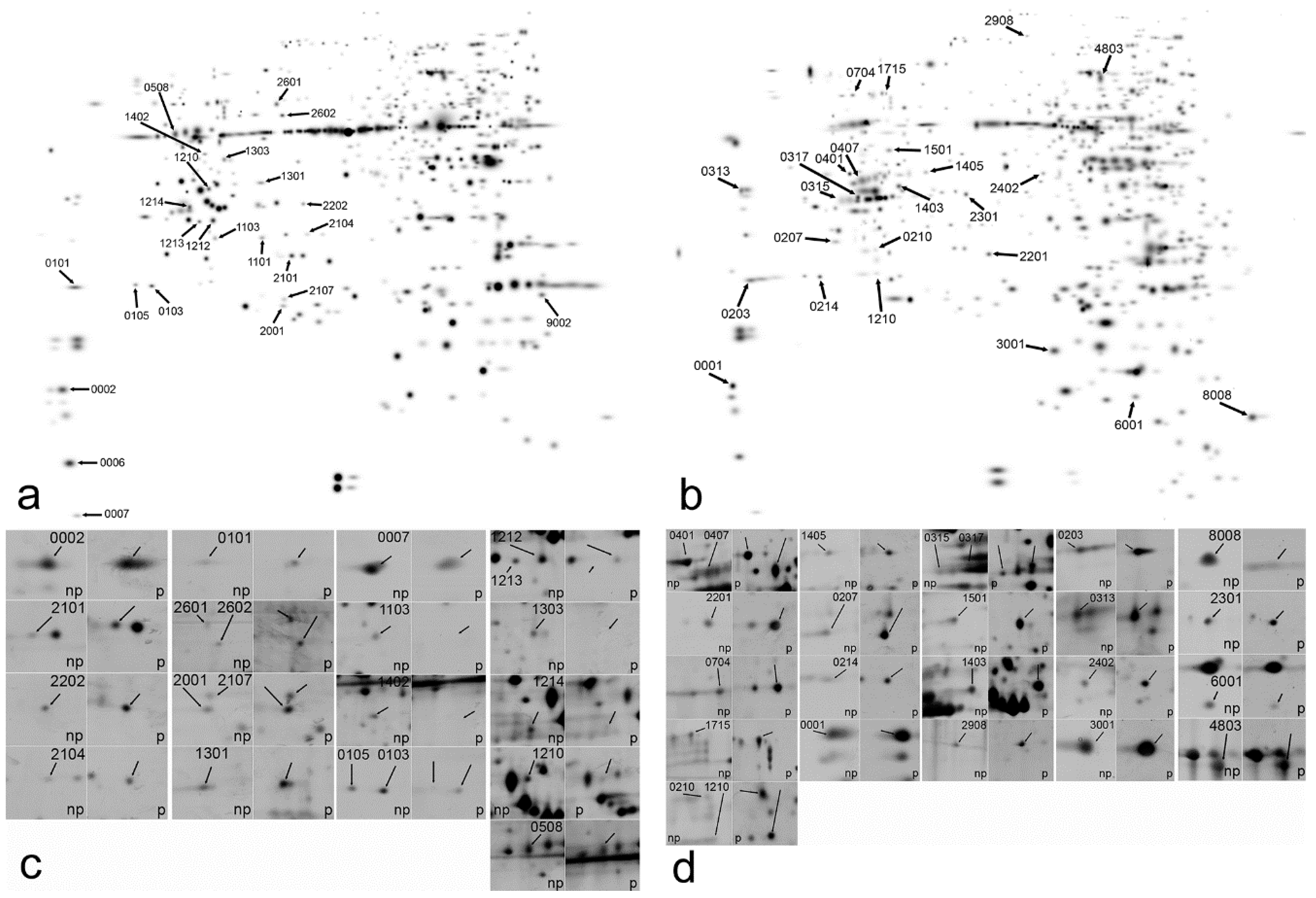 Plants 11 02904 g002 Plants 11 02904 g002