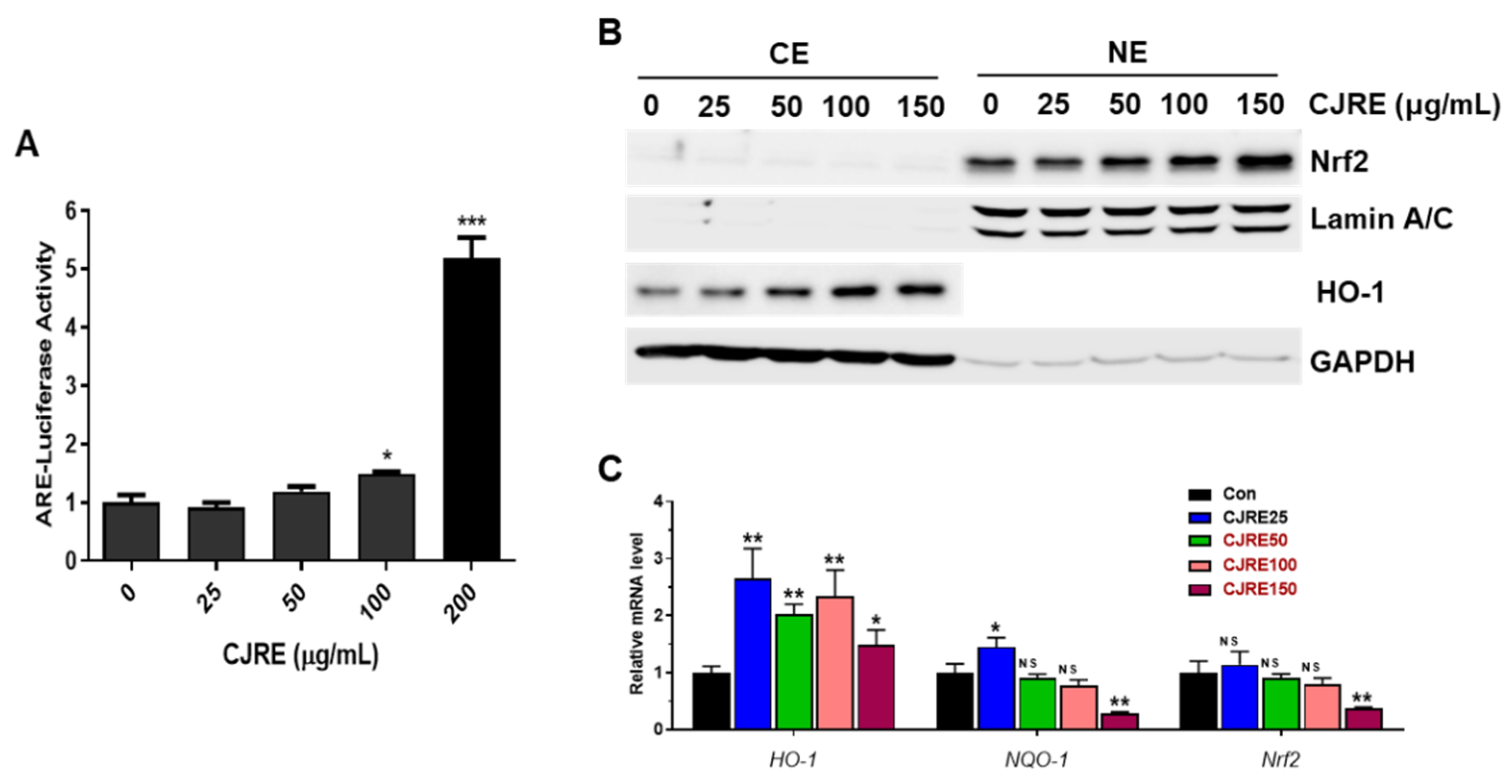 Plants 11 02914 g001
