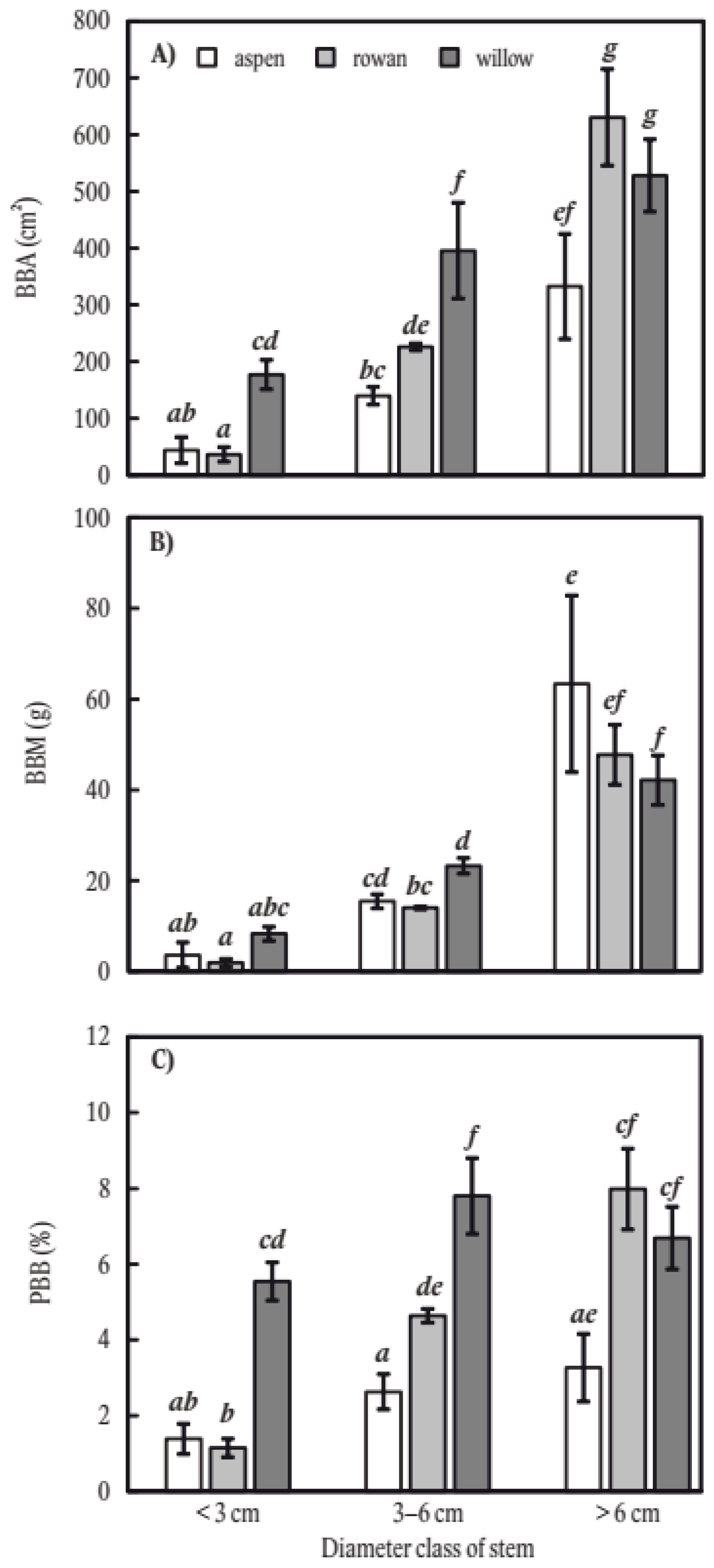 Tree Bark: A Surprising and Diverse Reservoir for Water · Frontiers for  Young Minds