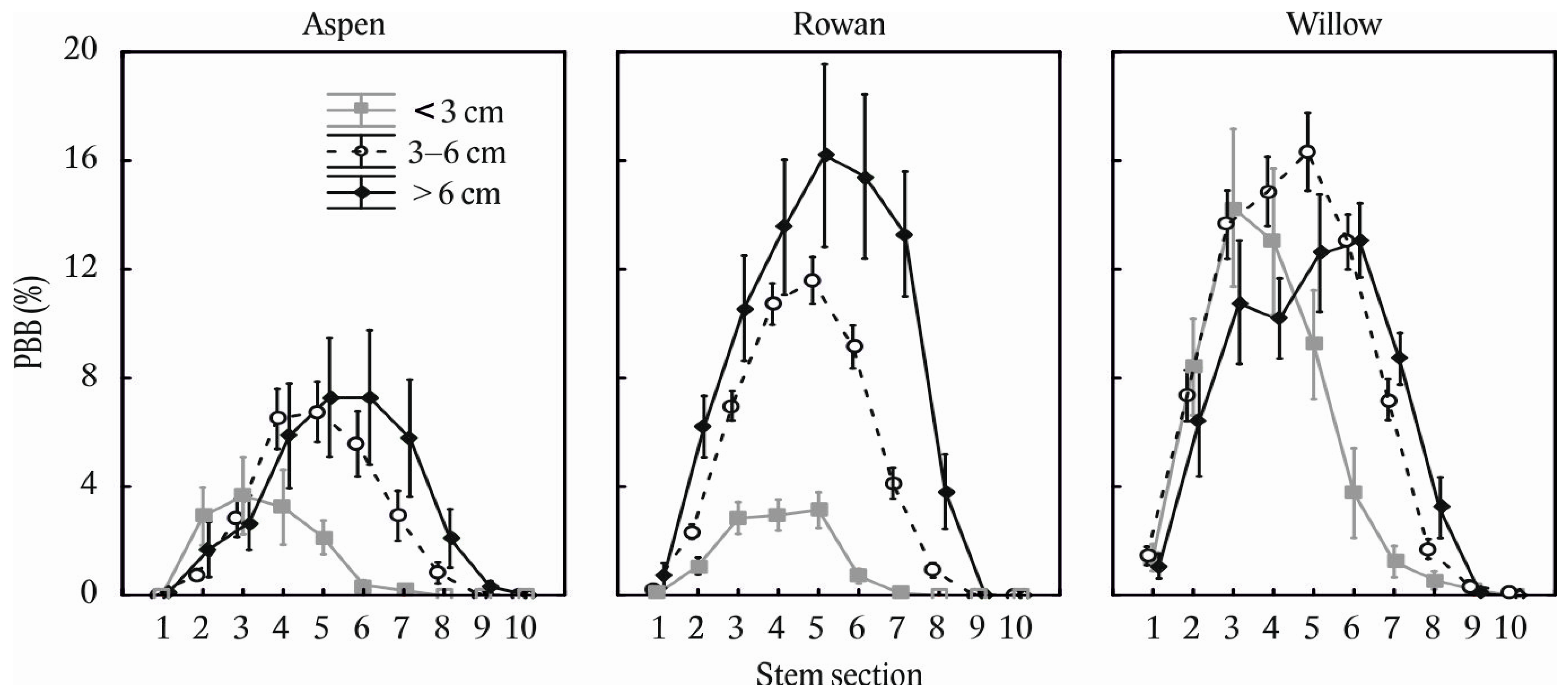 Tree Bark: A Surprising and Diverse Reservoir for Water · Frontiers for  Young Minds