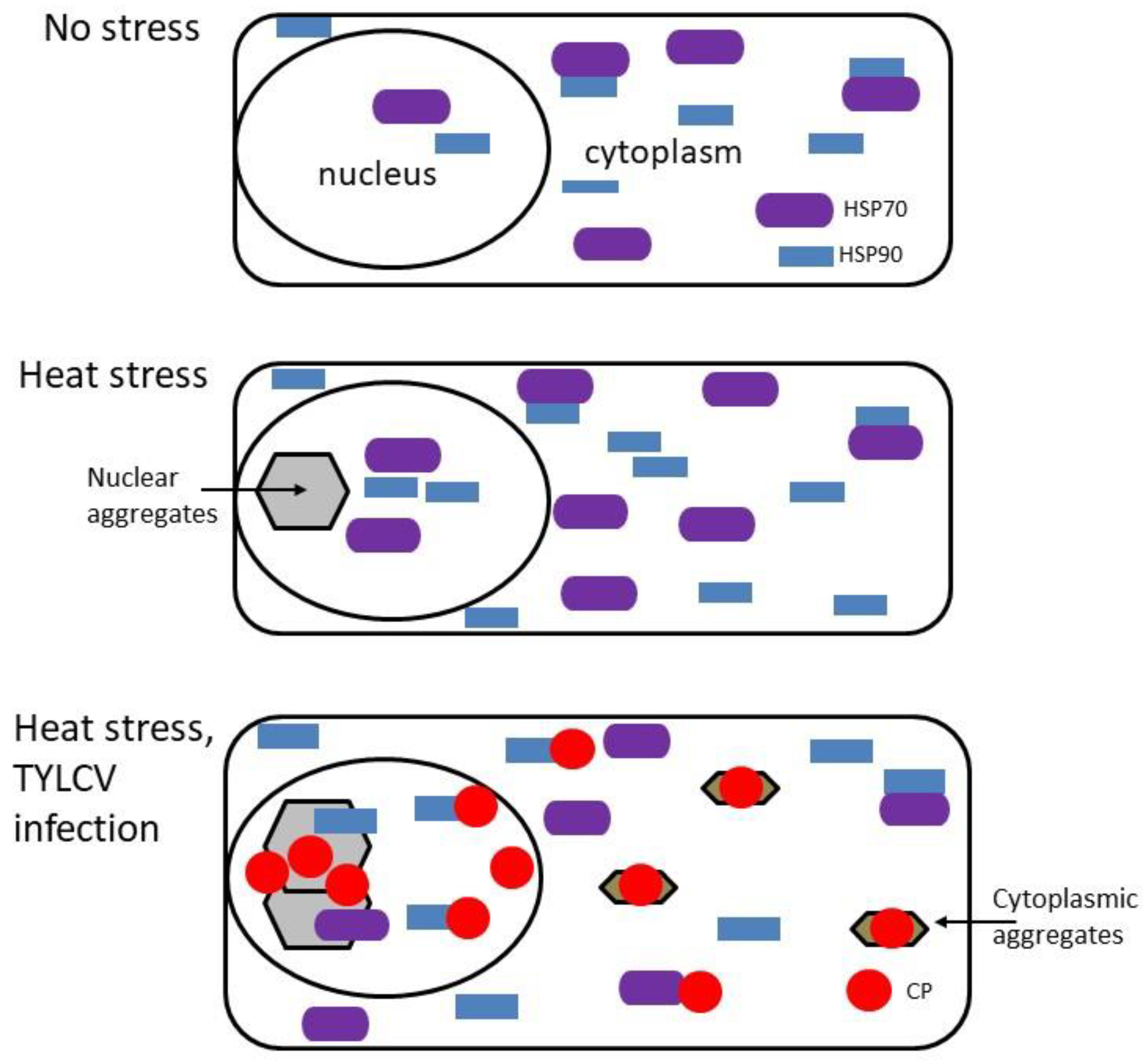 Plants 11 02944 g002 Plants 11 02944 g002