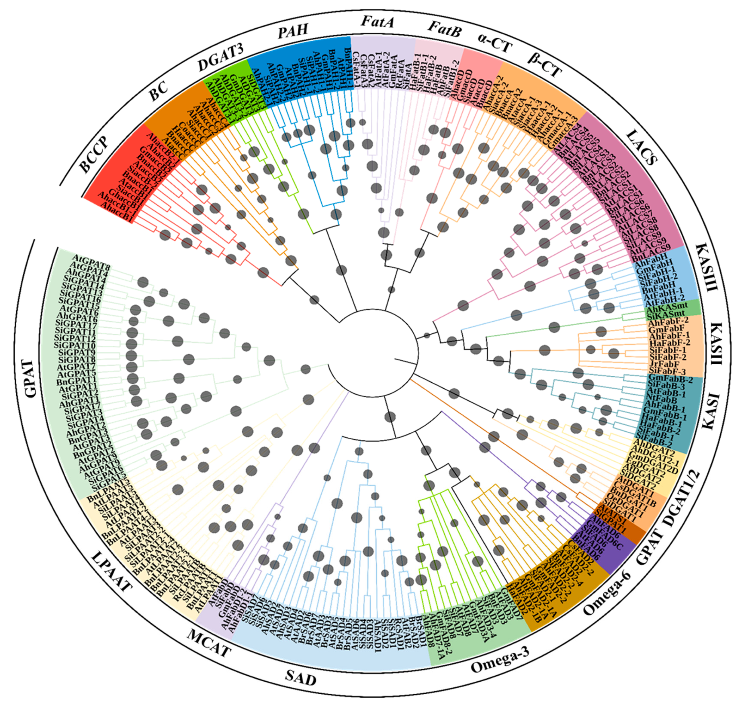 Plants 11 02980 g002