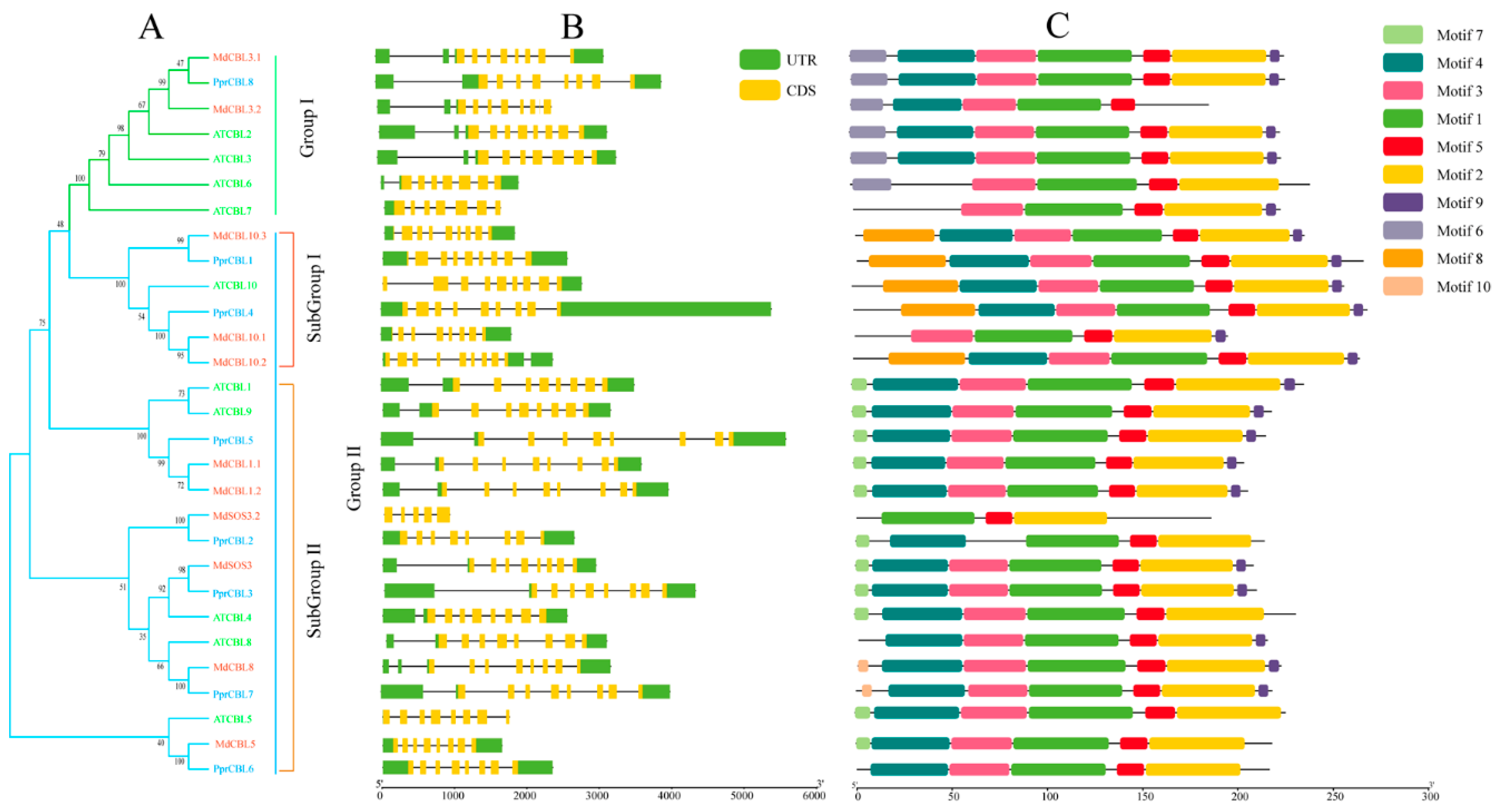 Plants 11 03001 g001 Plants 11 03001 g001