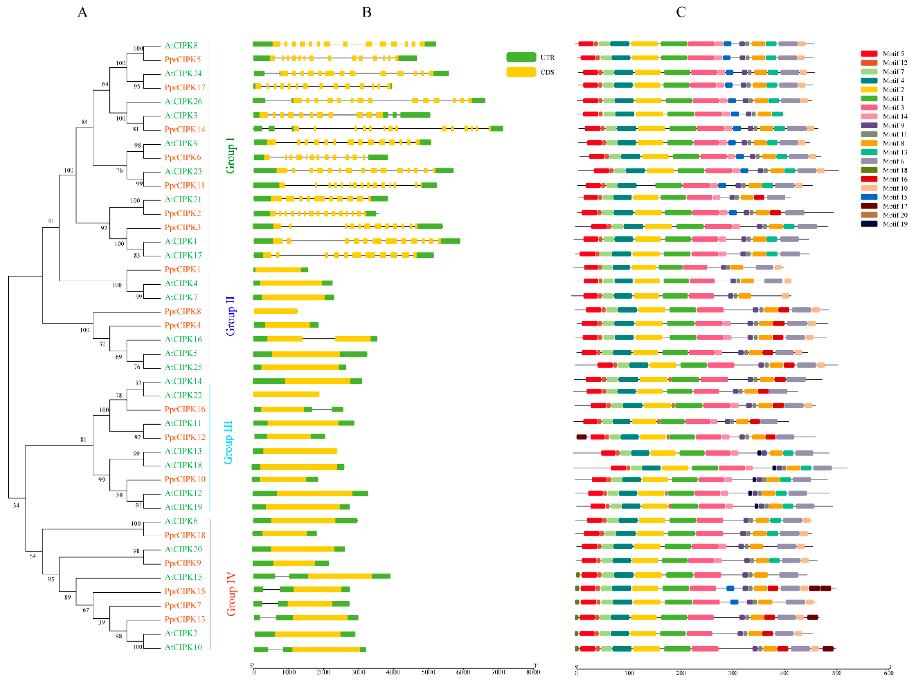 Plants 11 03001 g002 Plants 11 03001 g002