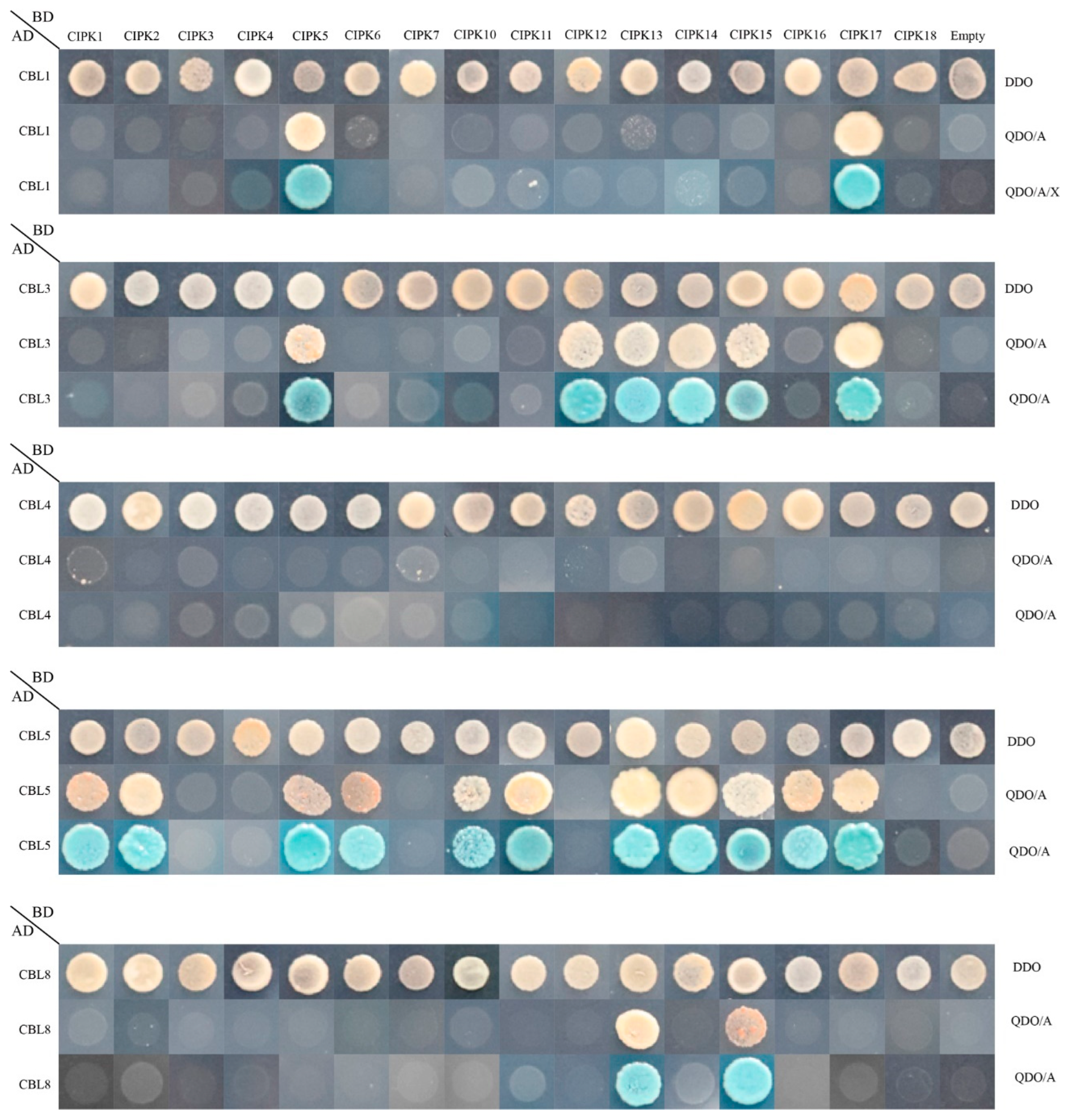 Plants 11 03001 g007 Plants 11 03001 g007