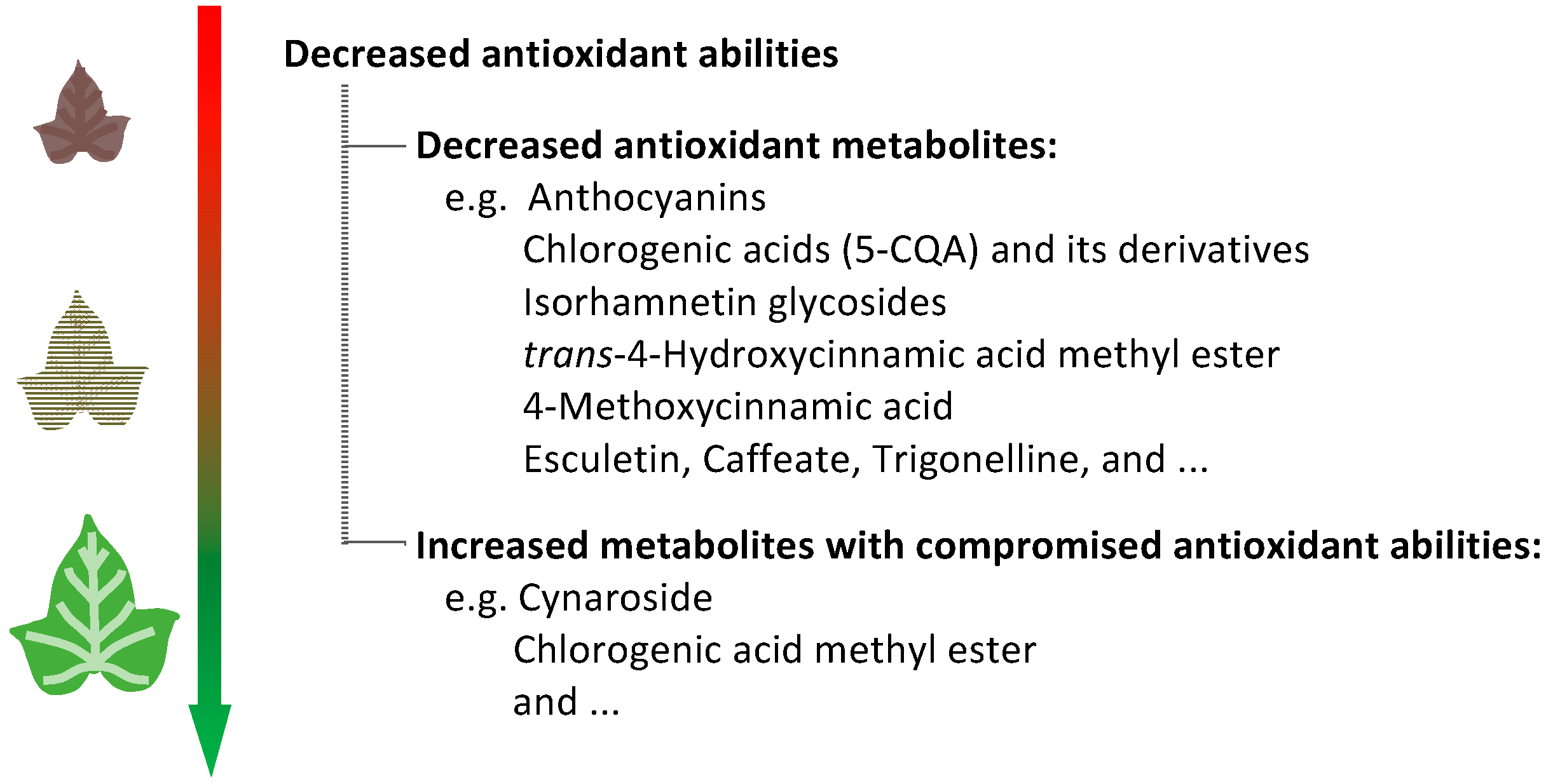 Plants 11 03014 g005 Plants 11 03014 g005