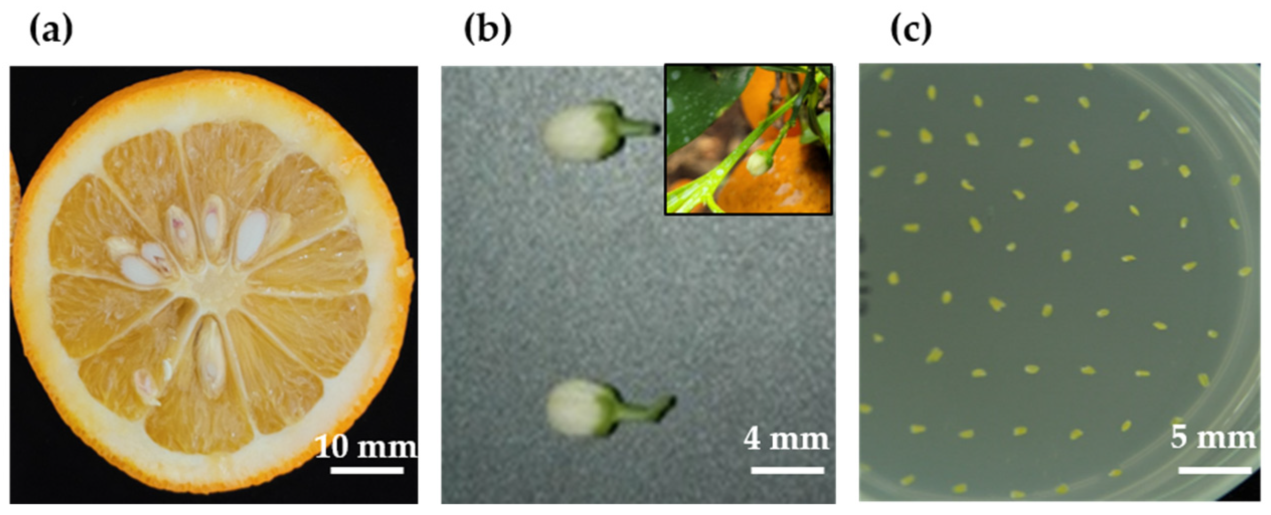 Plants 11 03022 g009