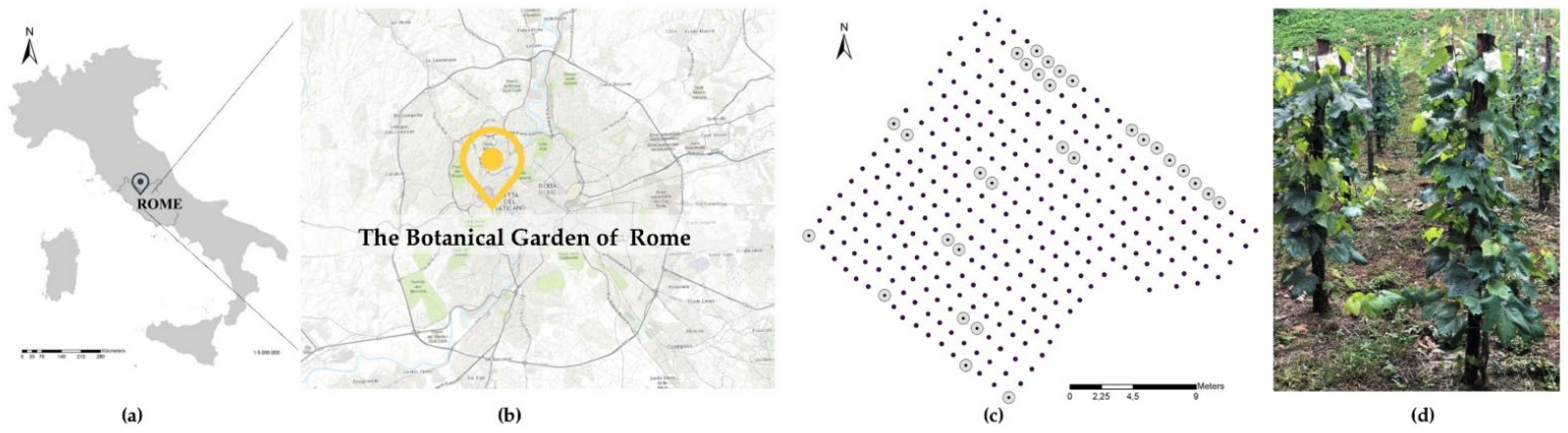 Plants 11 03026 g001 Plants 11 03026 g001