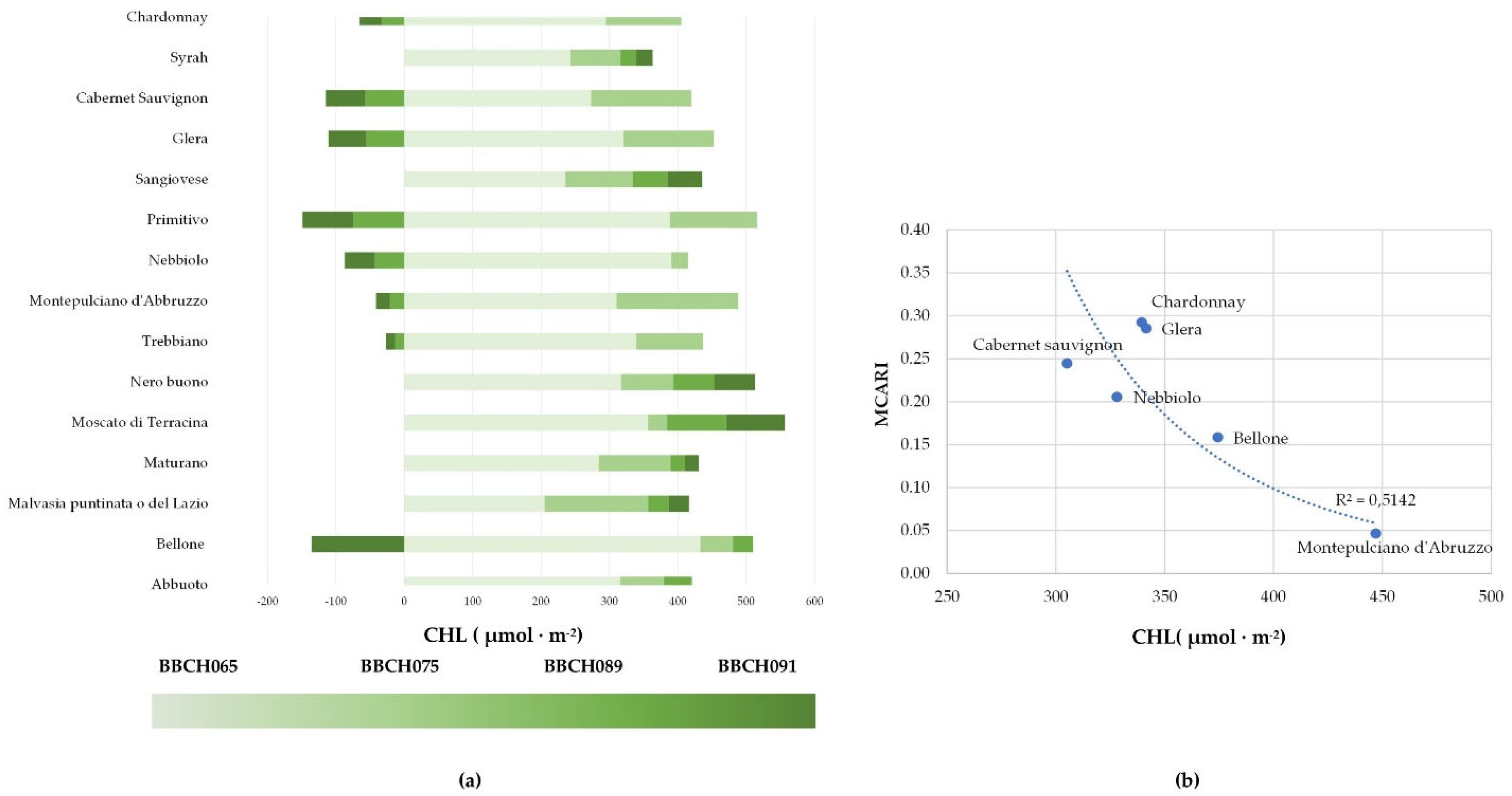 Plants 11 03026 g003 Plants 11 03026 g003