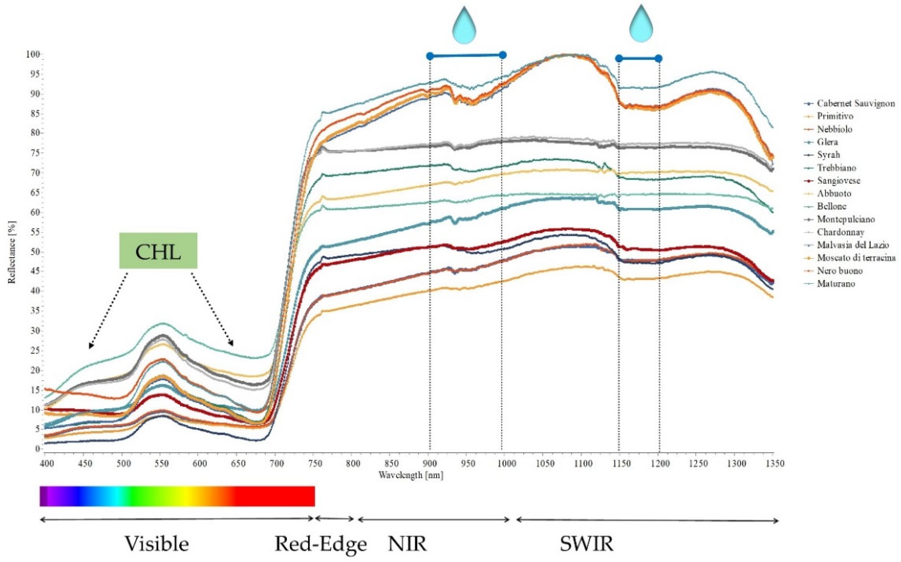 Plants 11 03026 g006 Plants 11 03026 g006