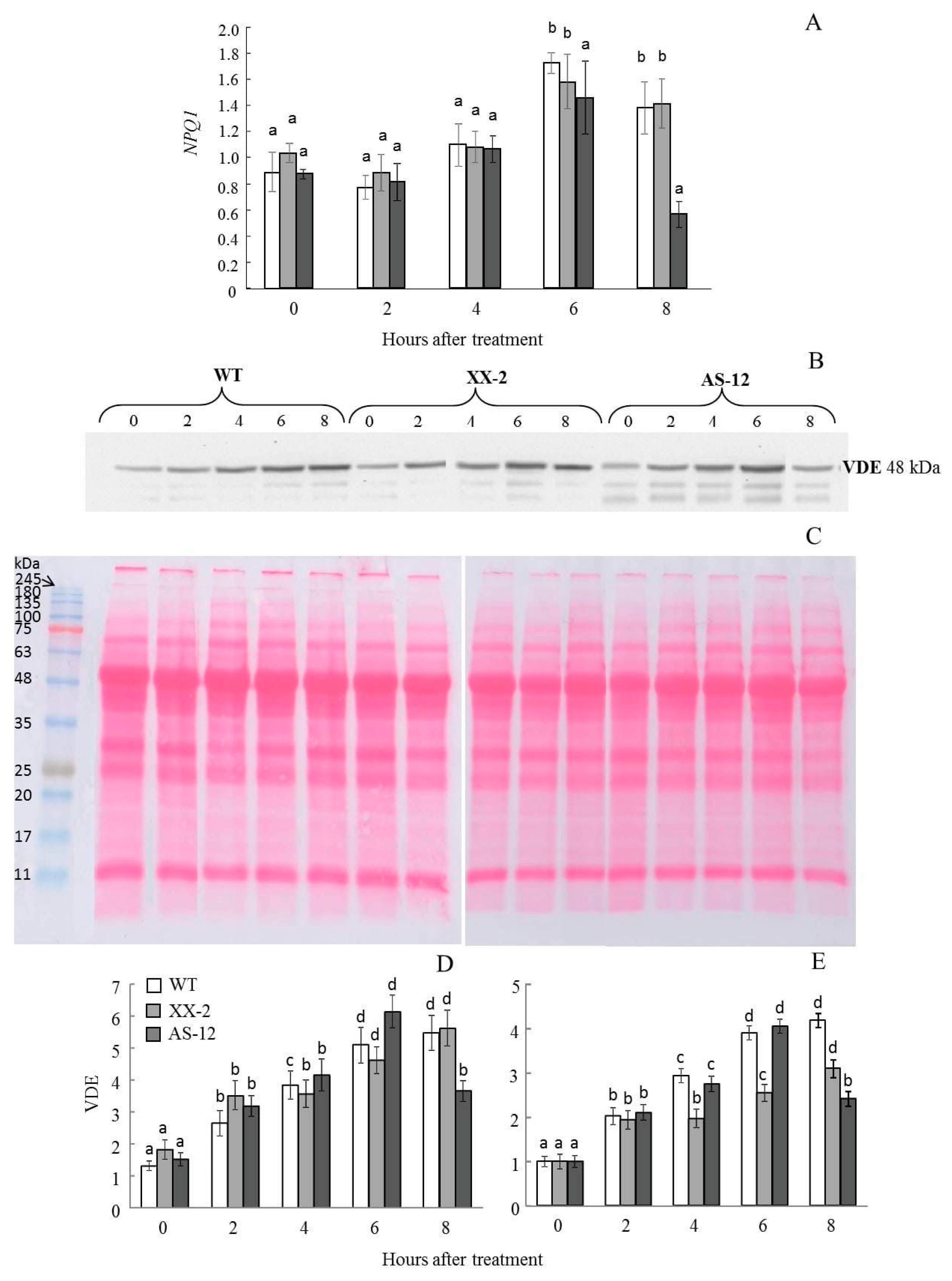 Plants 11 03030 g006