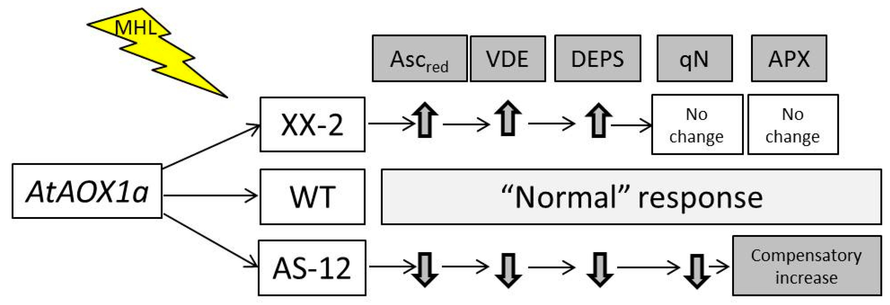 Plants 11 03030 g011