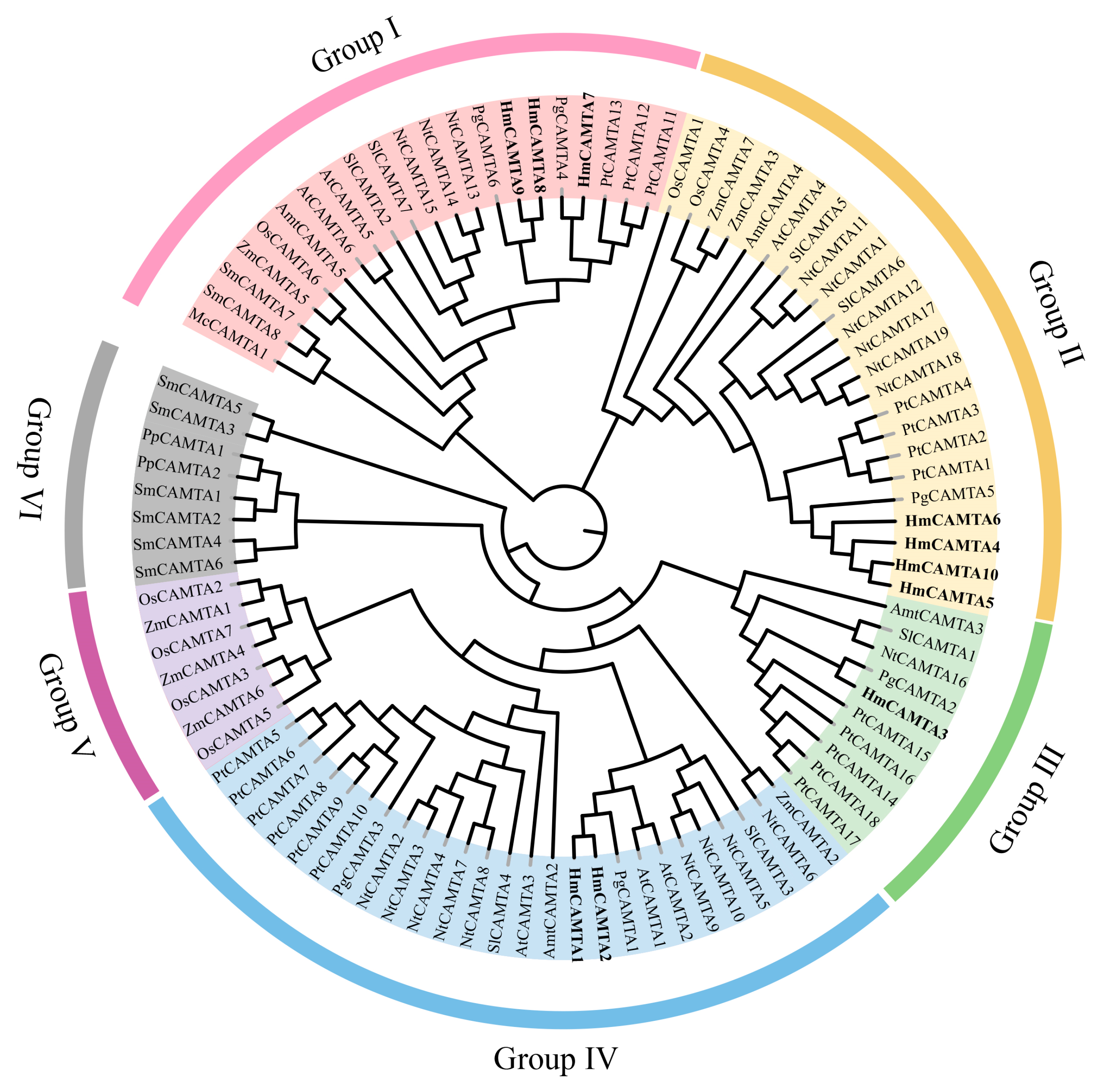 Plants 11 03031 g005