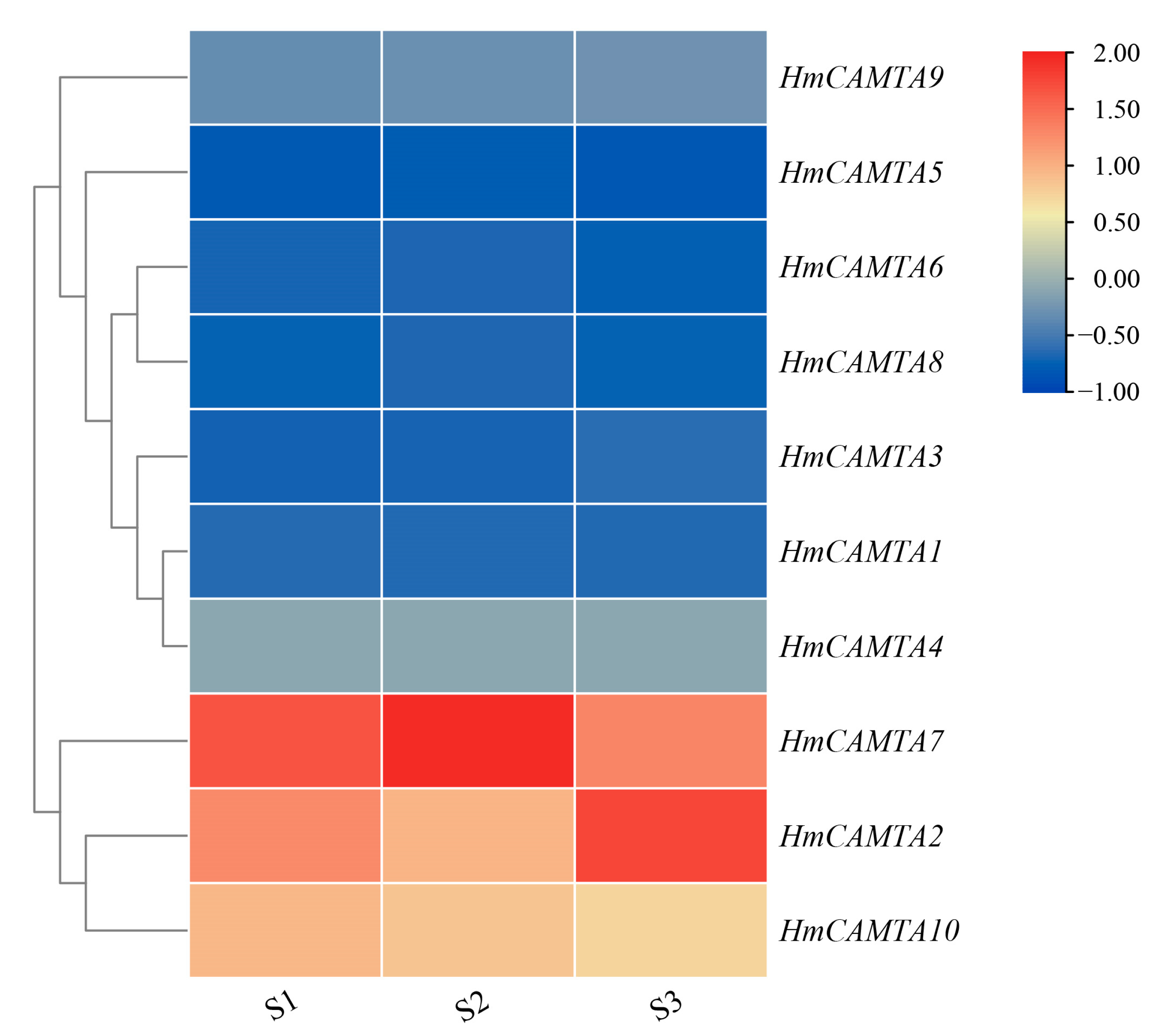 Plants 11 03031 g007