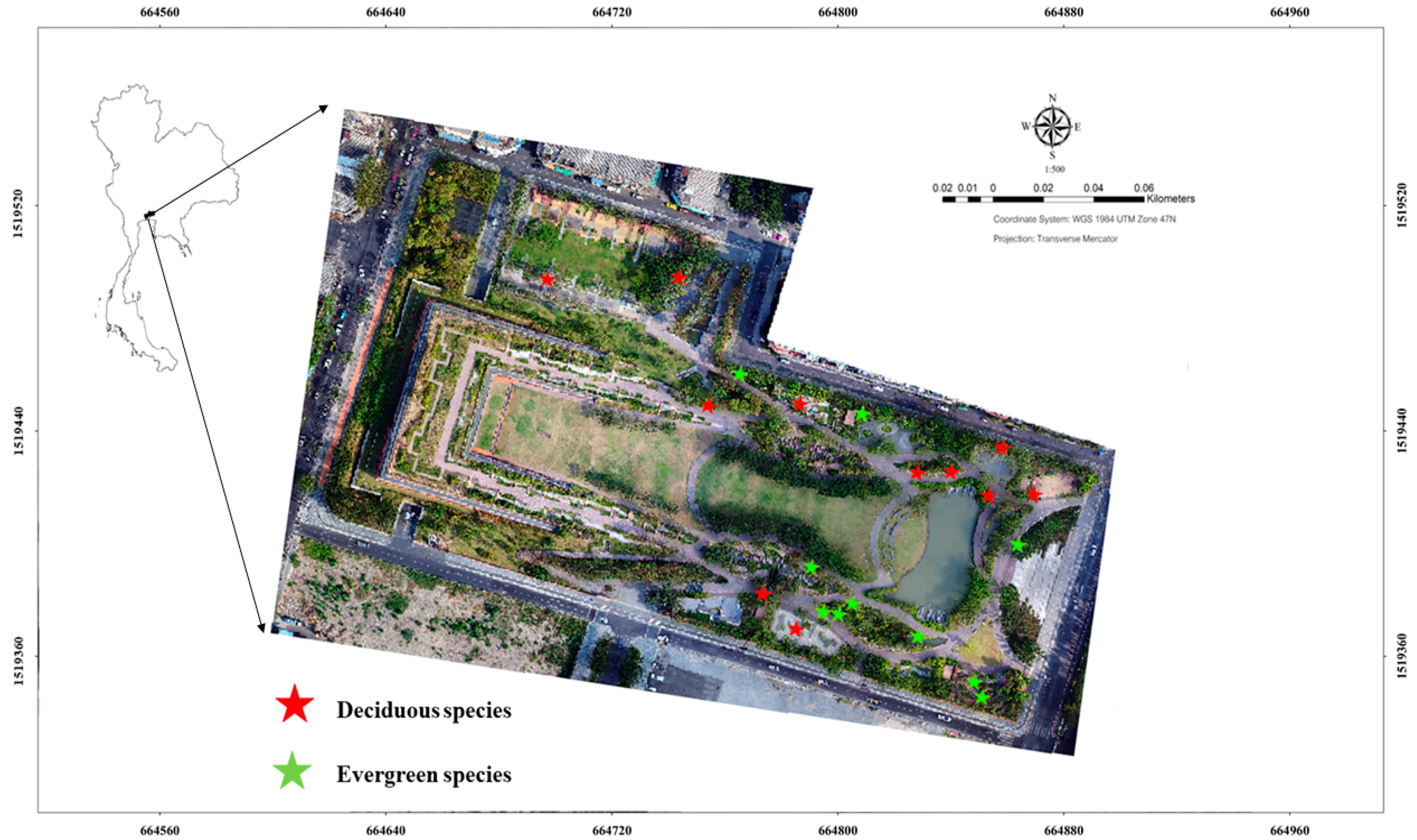 Plants 11 03074 g003 Plants 11 03074 g003