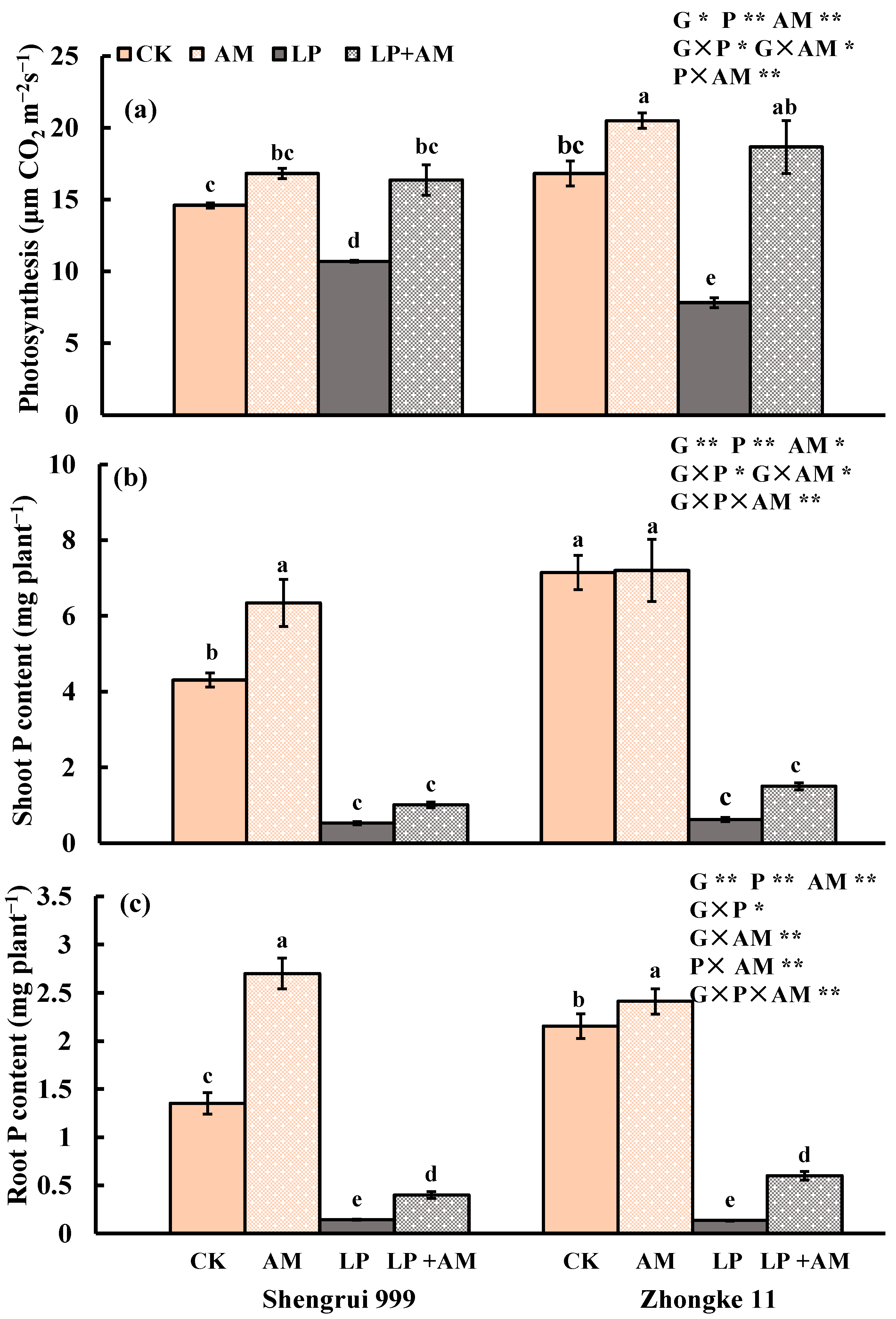 Plants 11 03105 g002 Plants 11 03105 g002