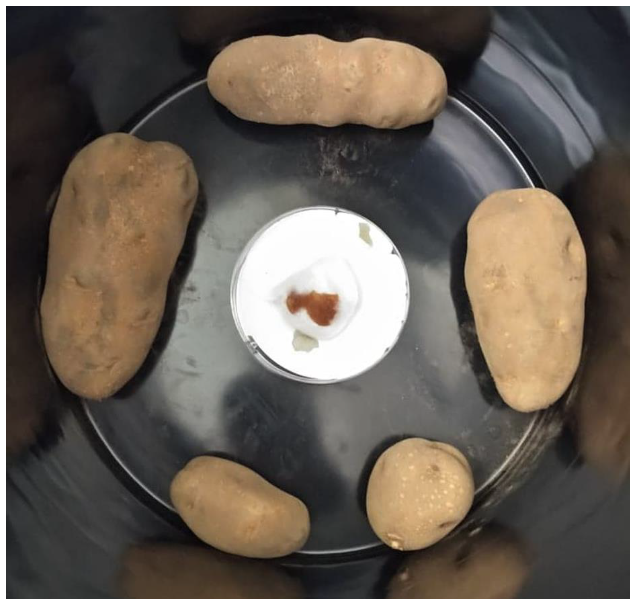 Plants 11 03109 g003 Plants 11 03109 g003