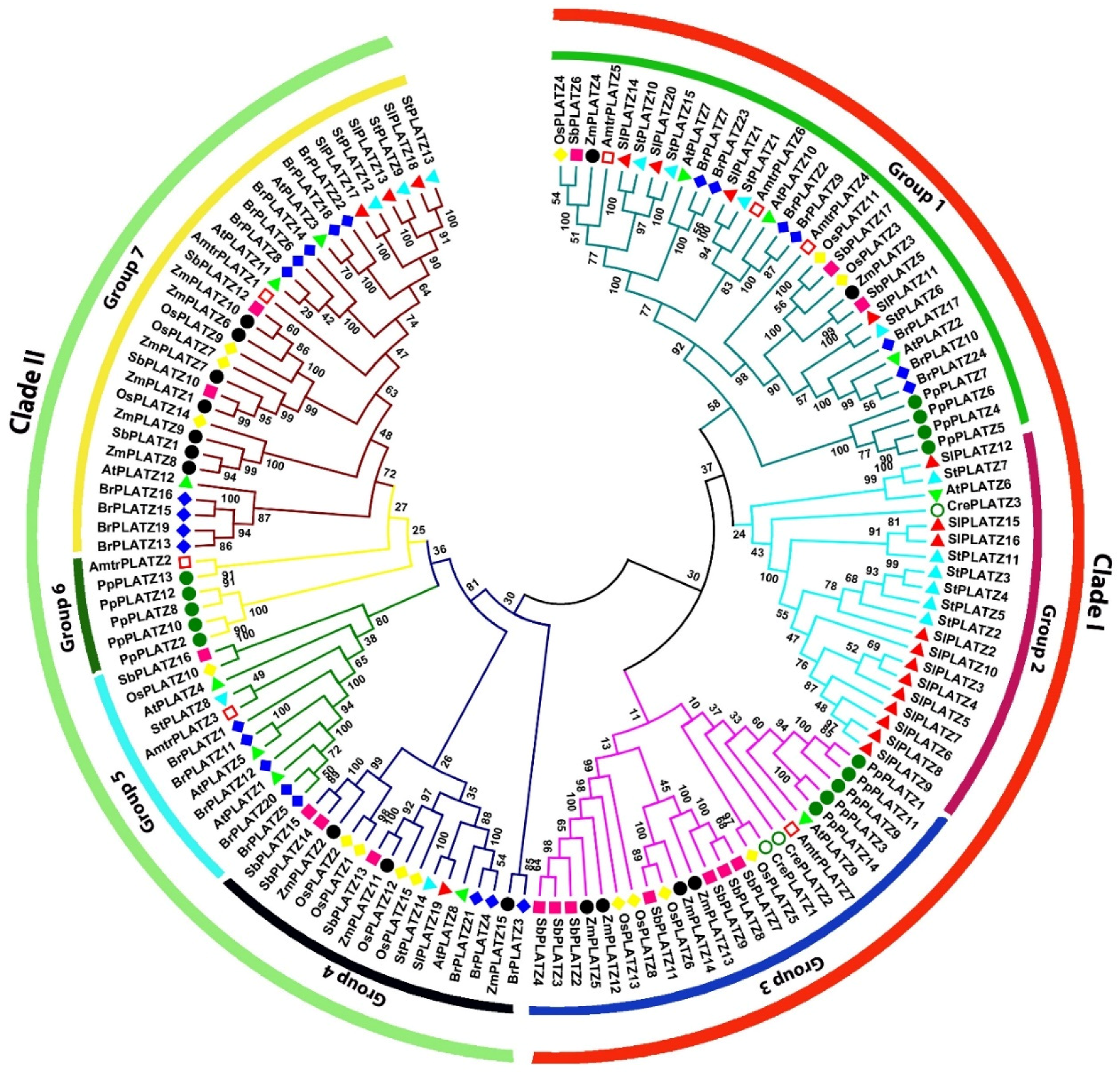 Plants 11 03112 g002 Plants 11 03112 g002