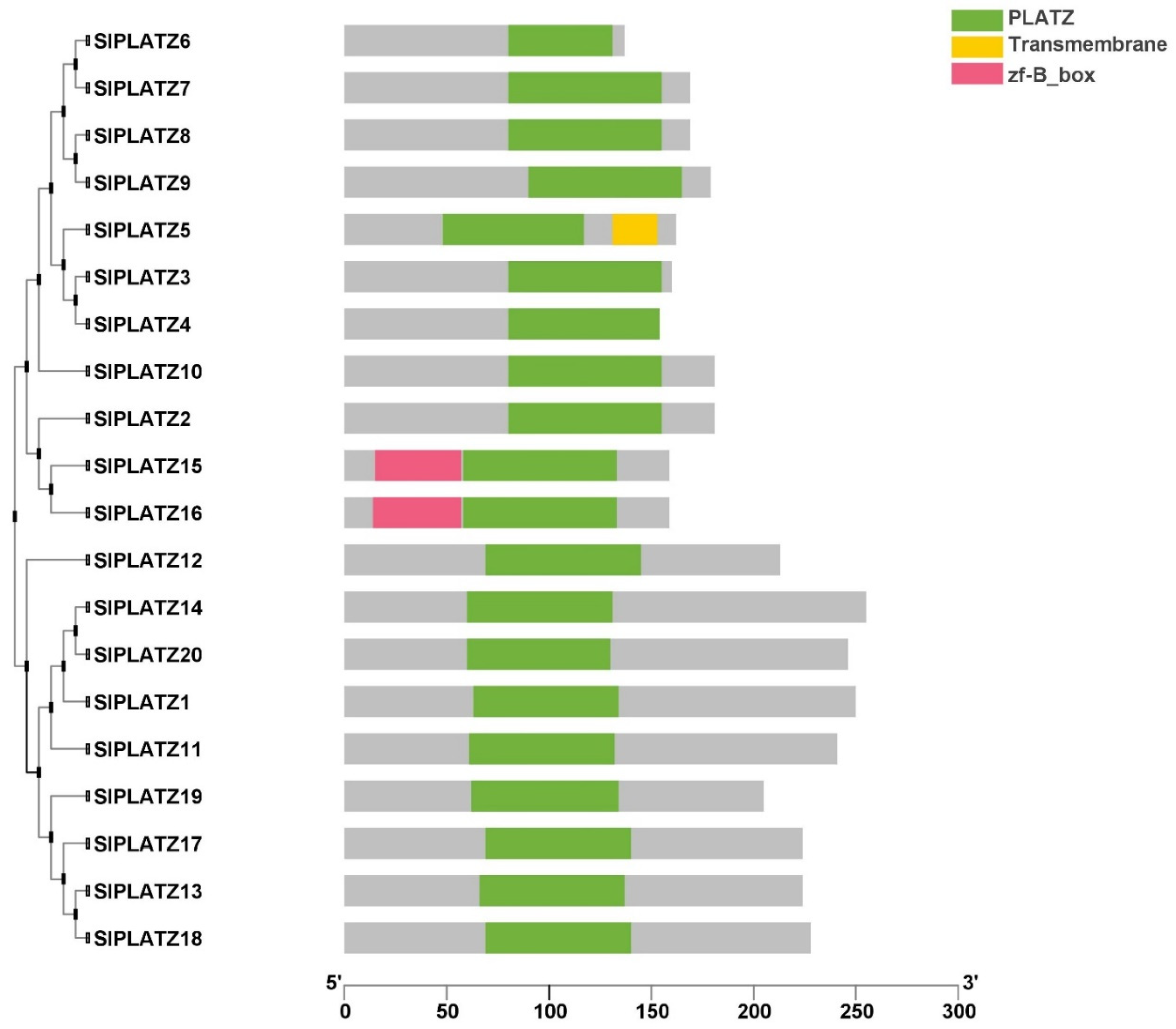 Plants 11 03112 g003 Plants 11 03112 g003