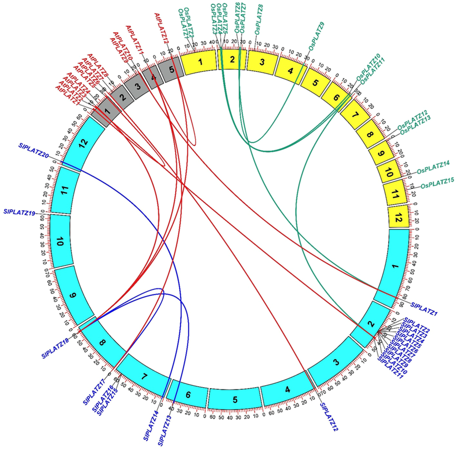 Plants 11 03112 g004 Plants 11 03112 g004