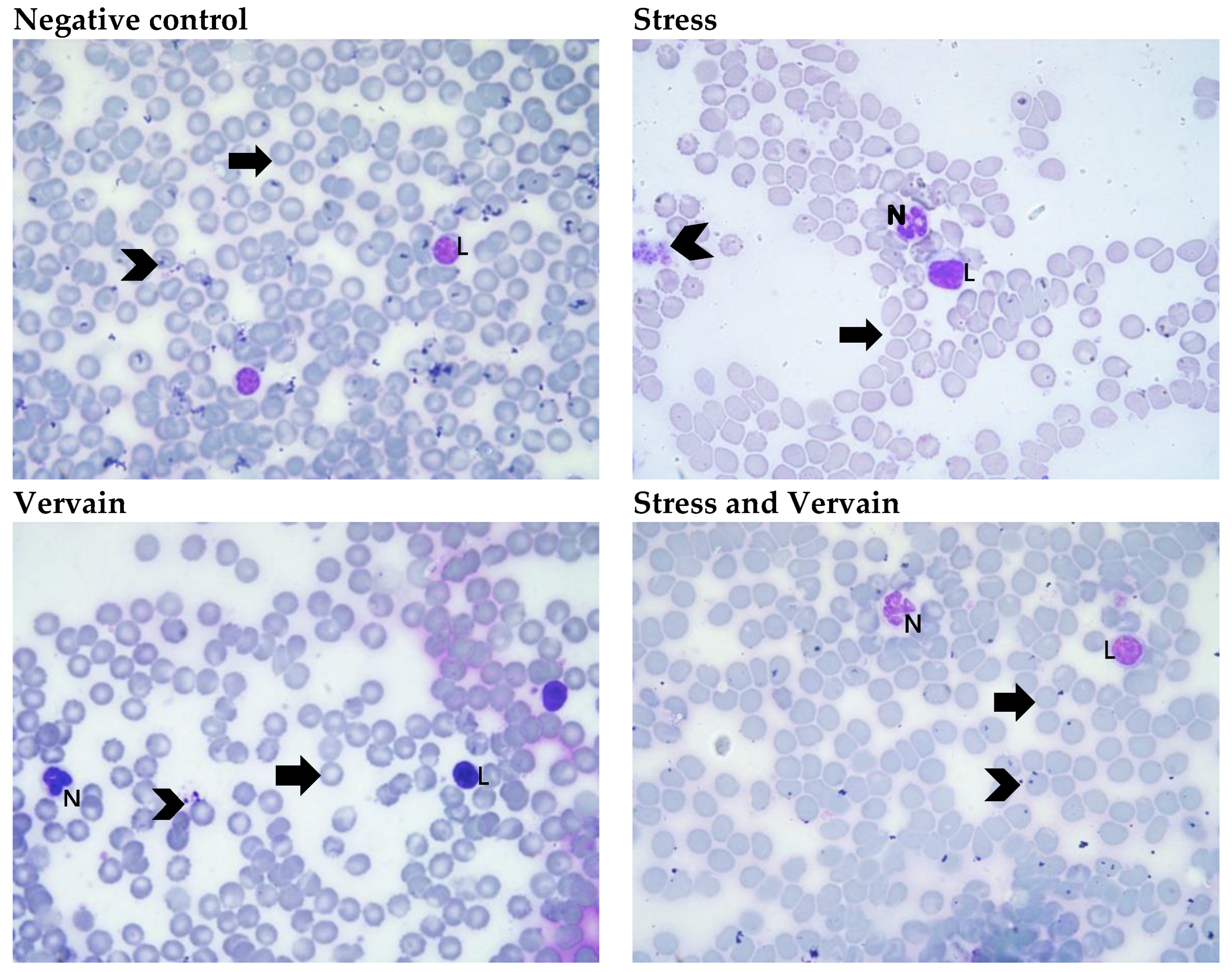 Plants 11 03115 g002 Plants 11 03115 g002