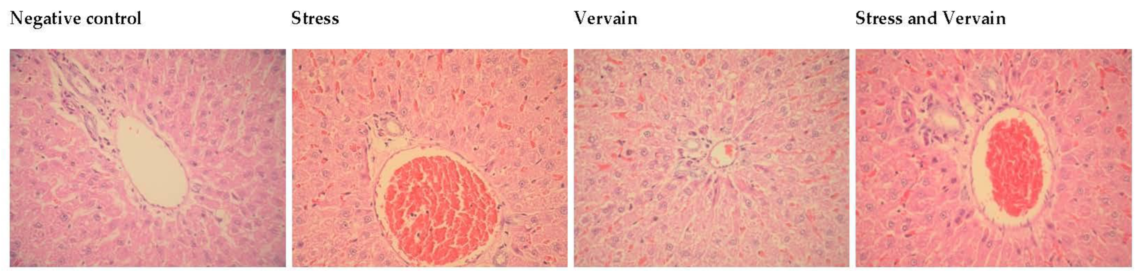 Plants 11 03115 g008 Plants 11 03115 g008