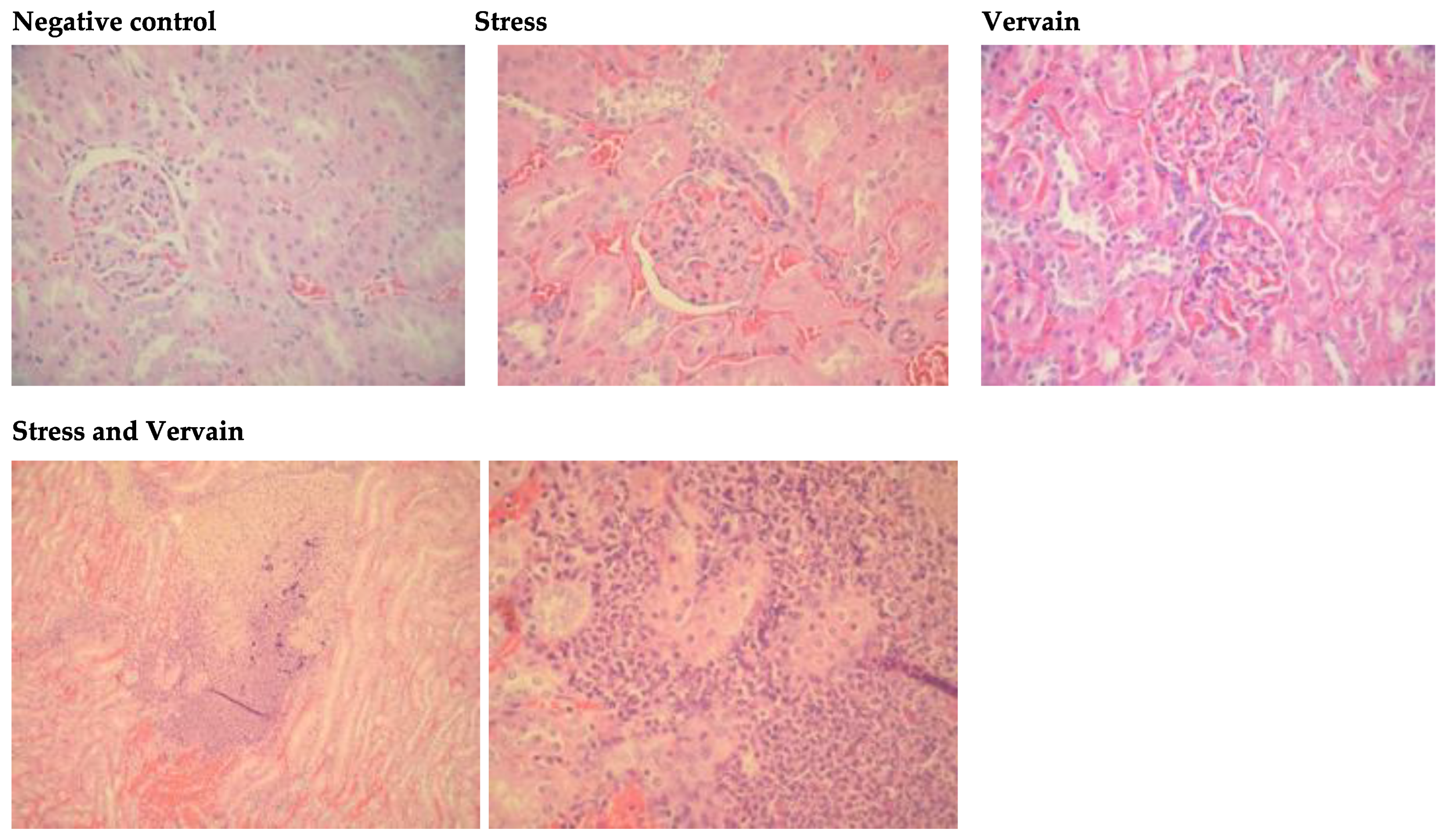 Plants 11 03115 g009 Plants 11 03115 g009