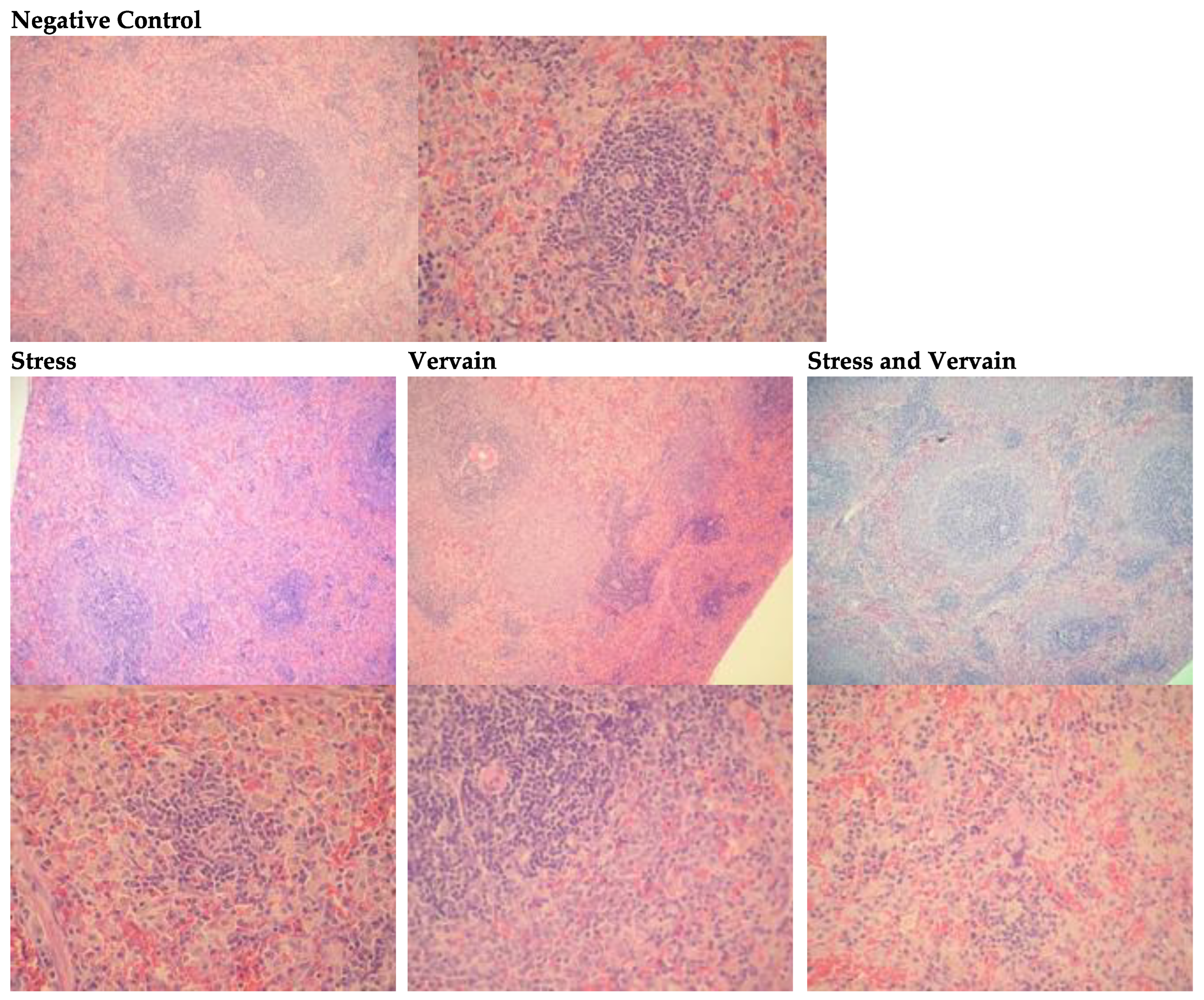 Plants 11 03115 g010 Plants 11 03115 g010