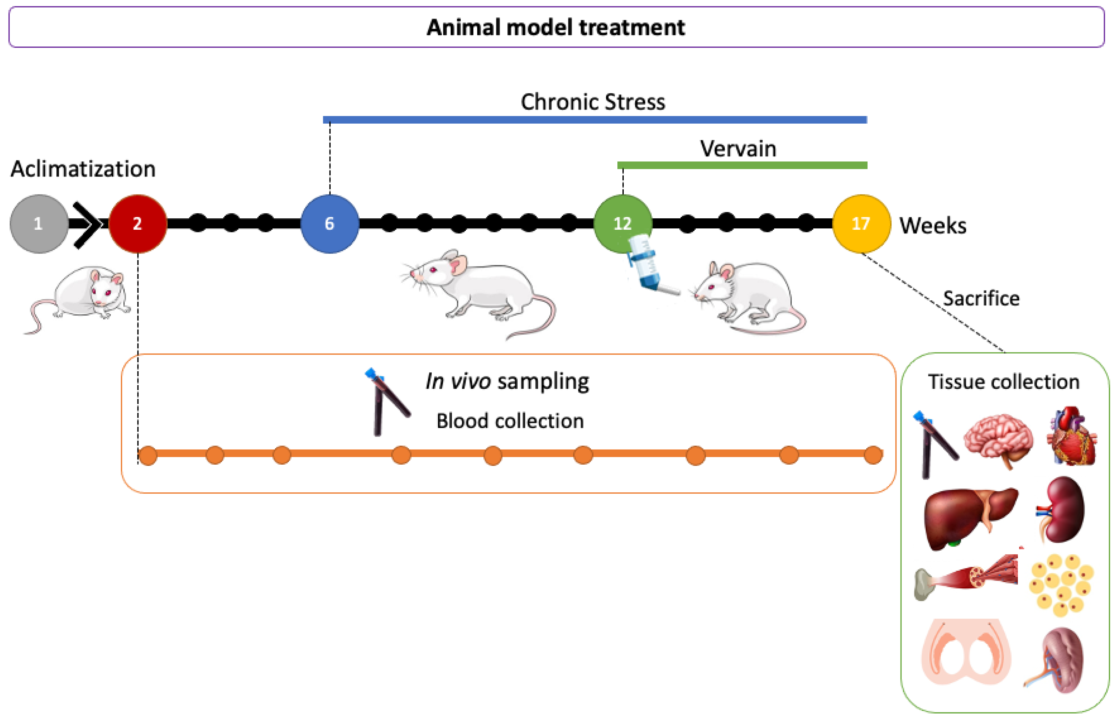 Plants 11 03115 g012 Plants 11 03115 g012